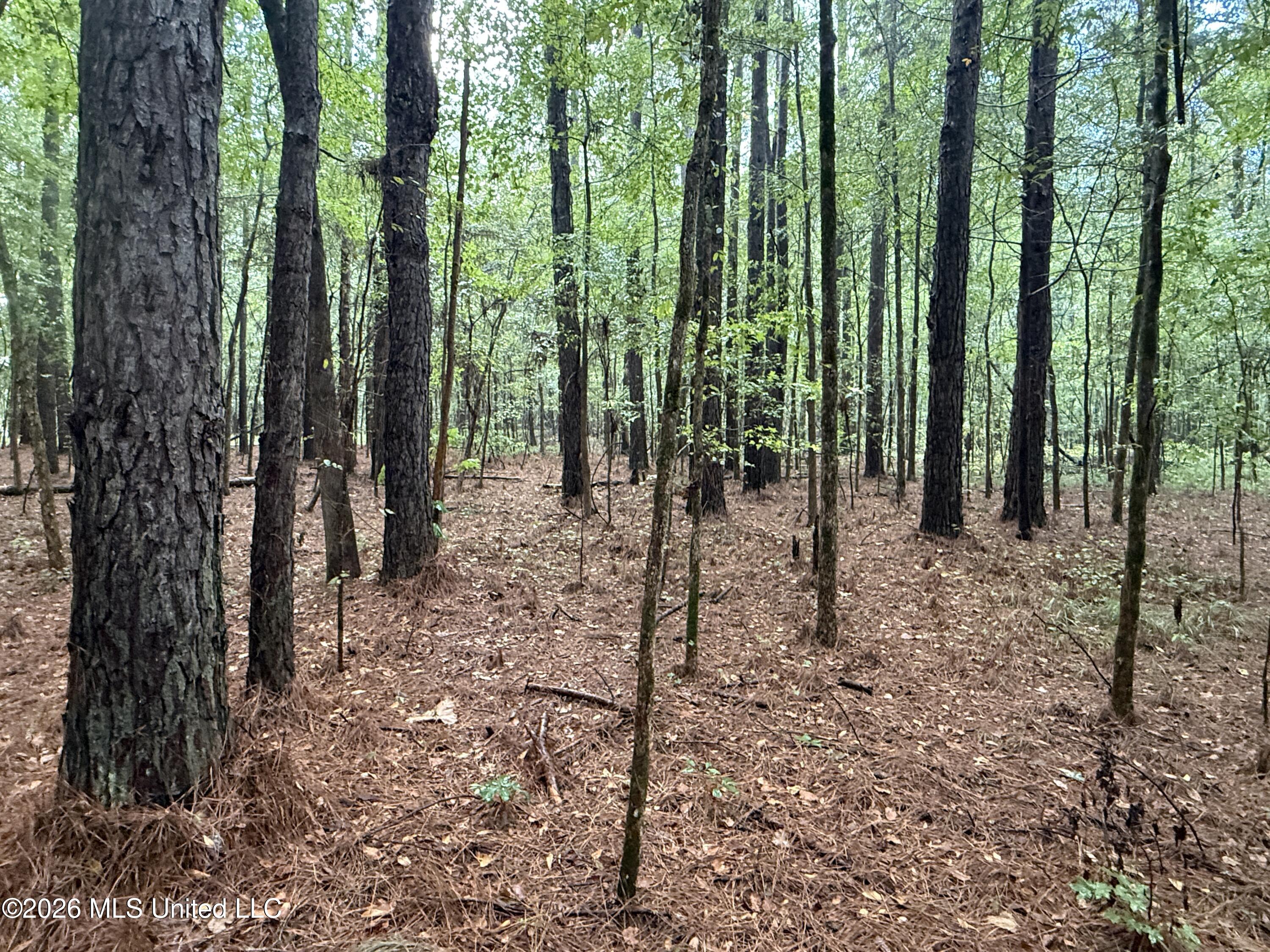 County Road 4167 Property Photo 18