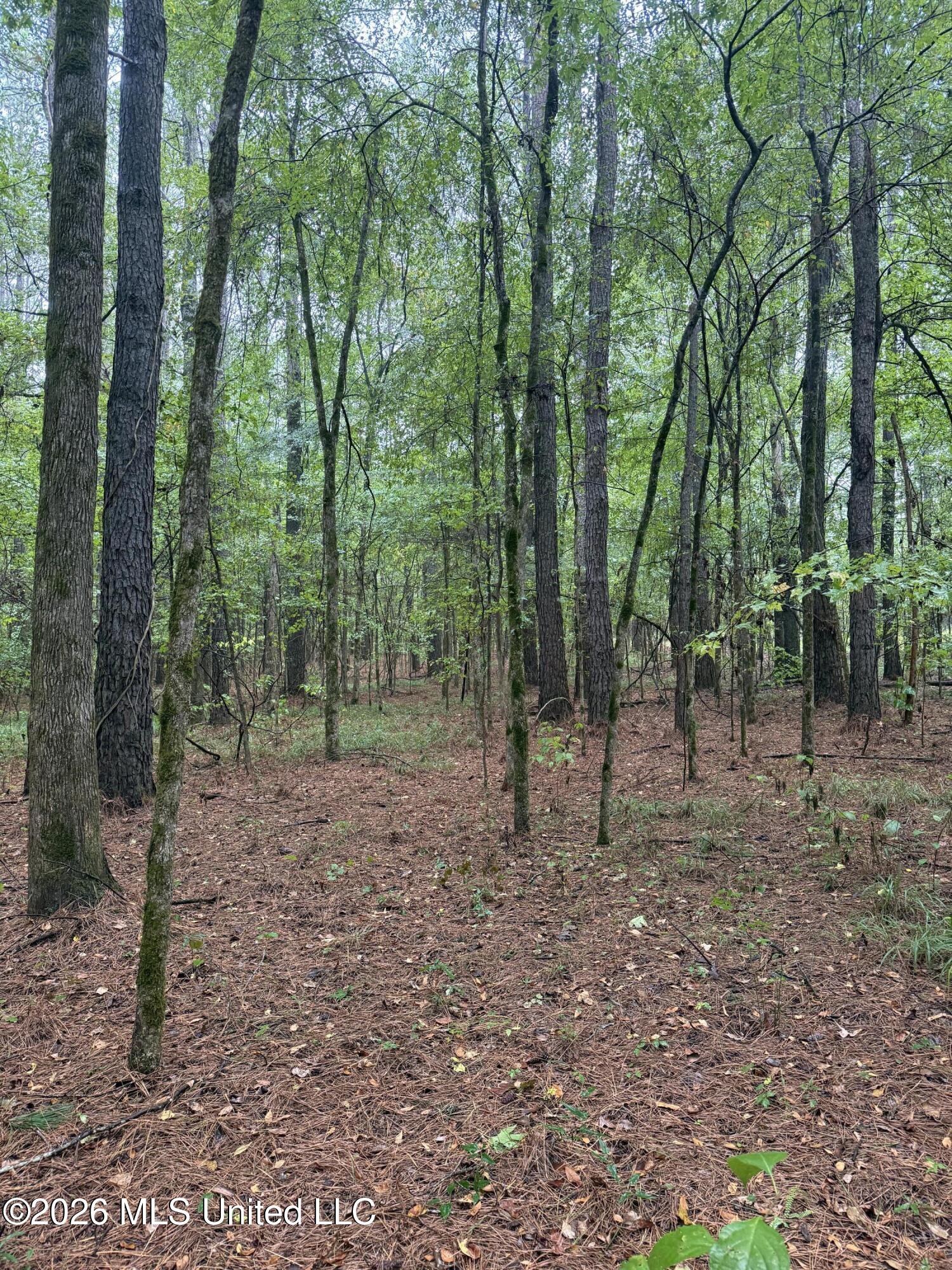 County Road 4167 Property Photo 19