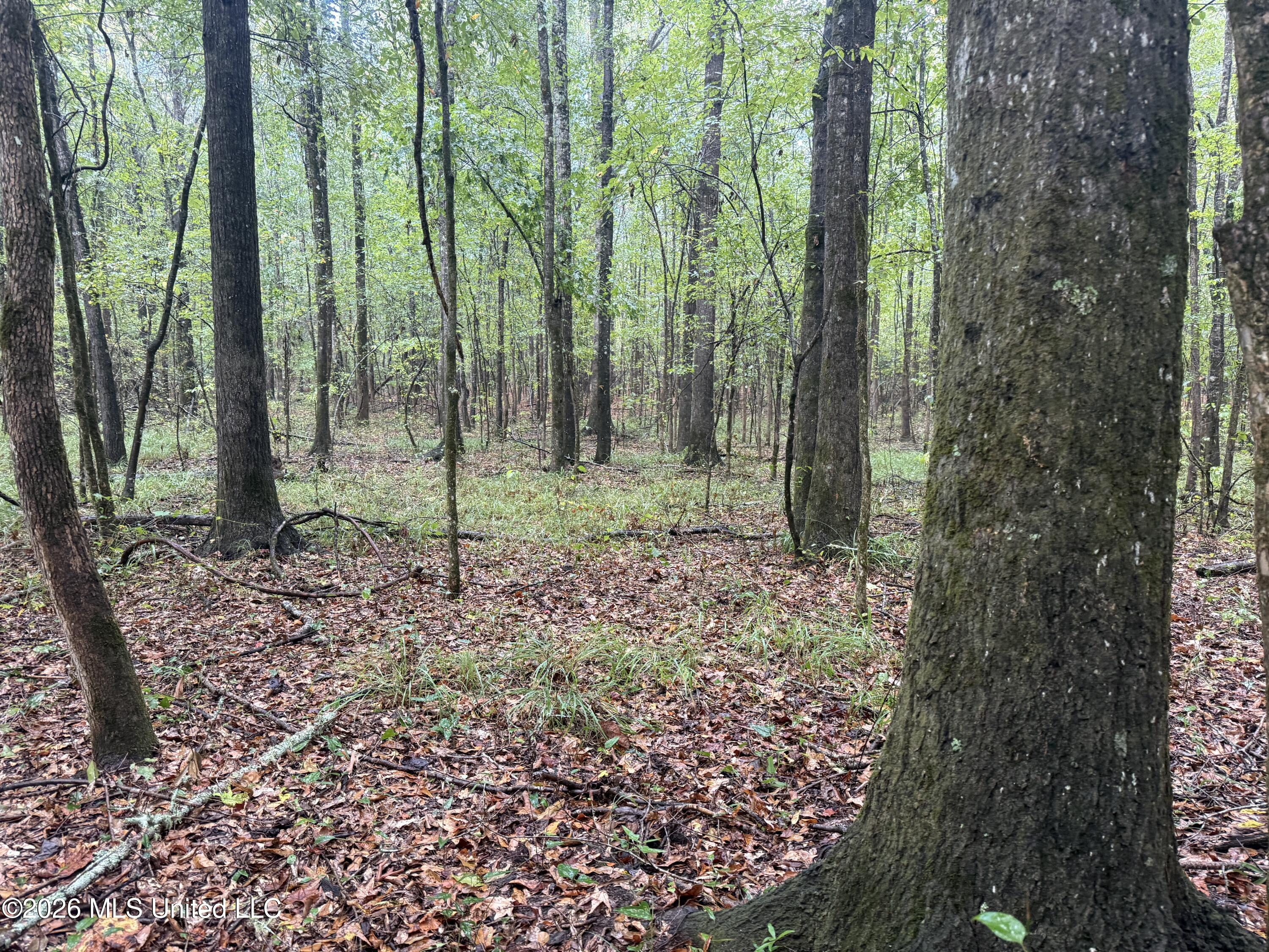 County Road 4167 Property Photo 20