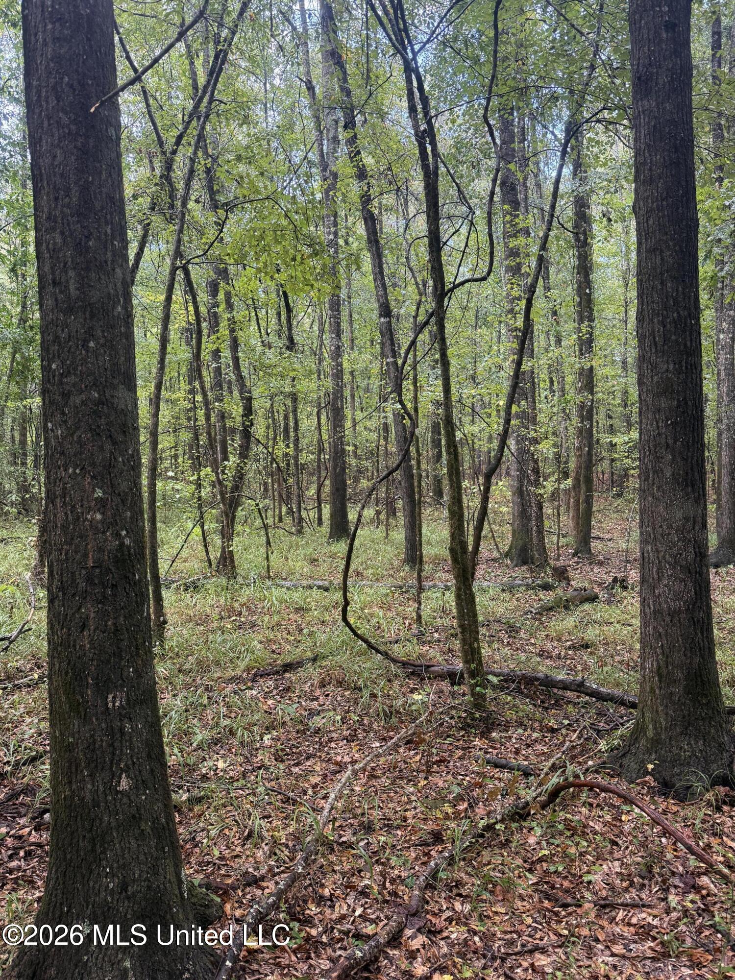 County Road 4167 Property Photo 21