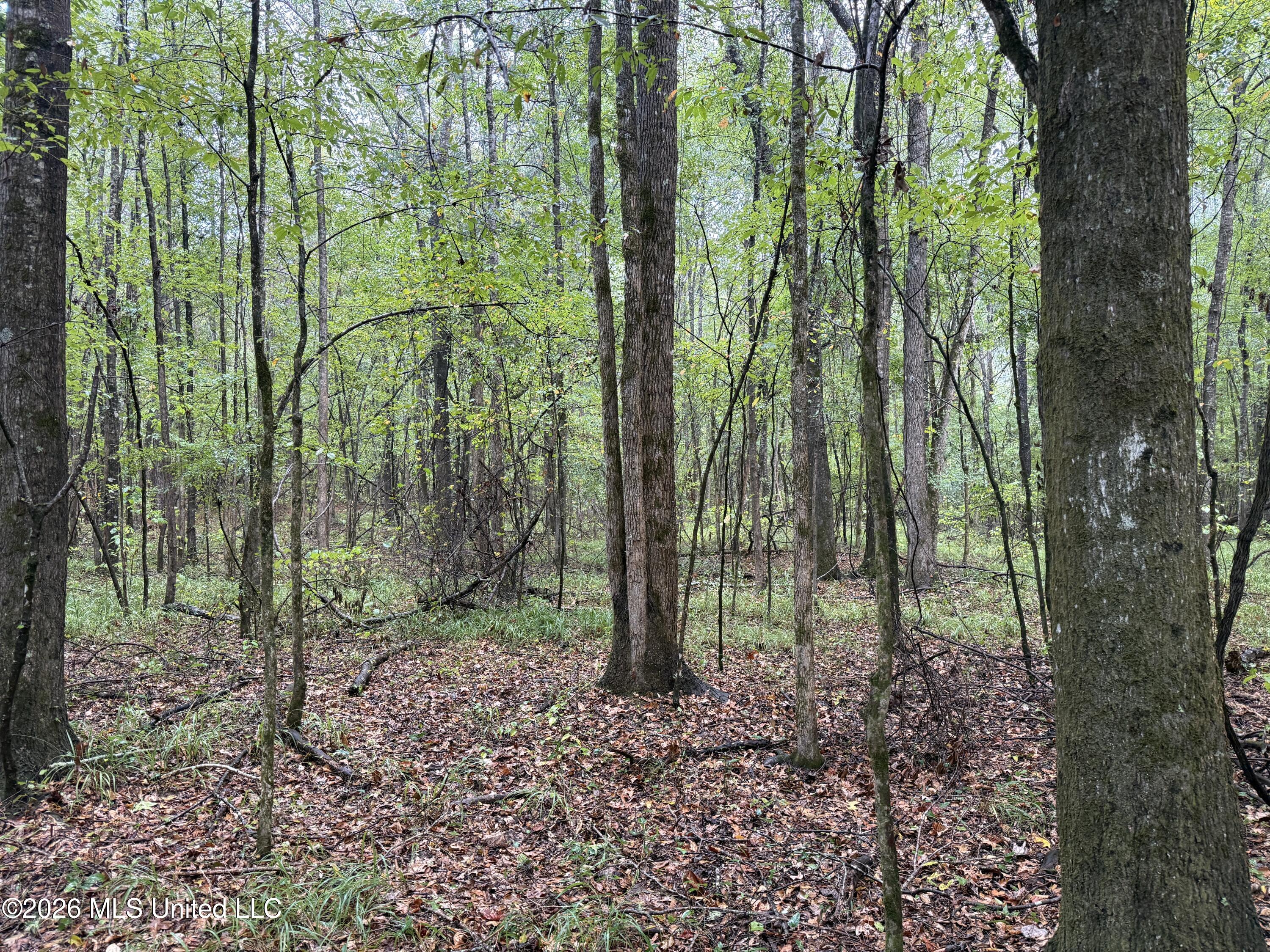 County Road 4167 Property Photo 22