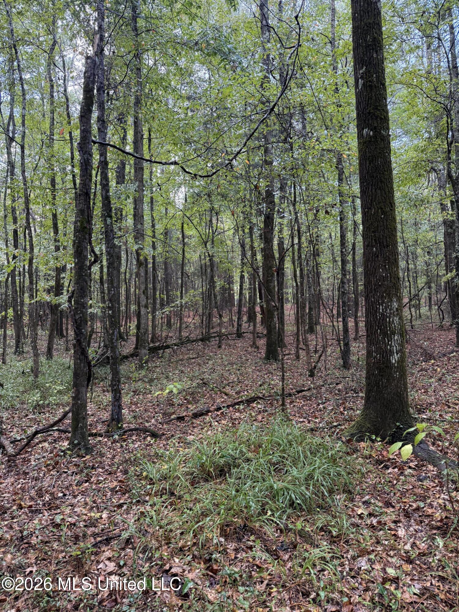County Road 4167 Property Photo 23