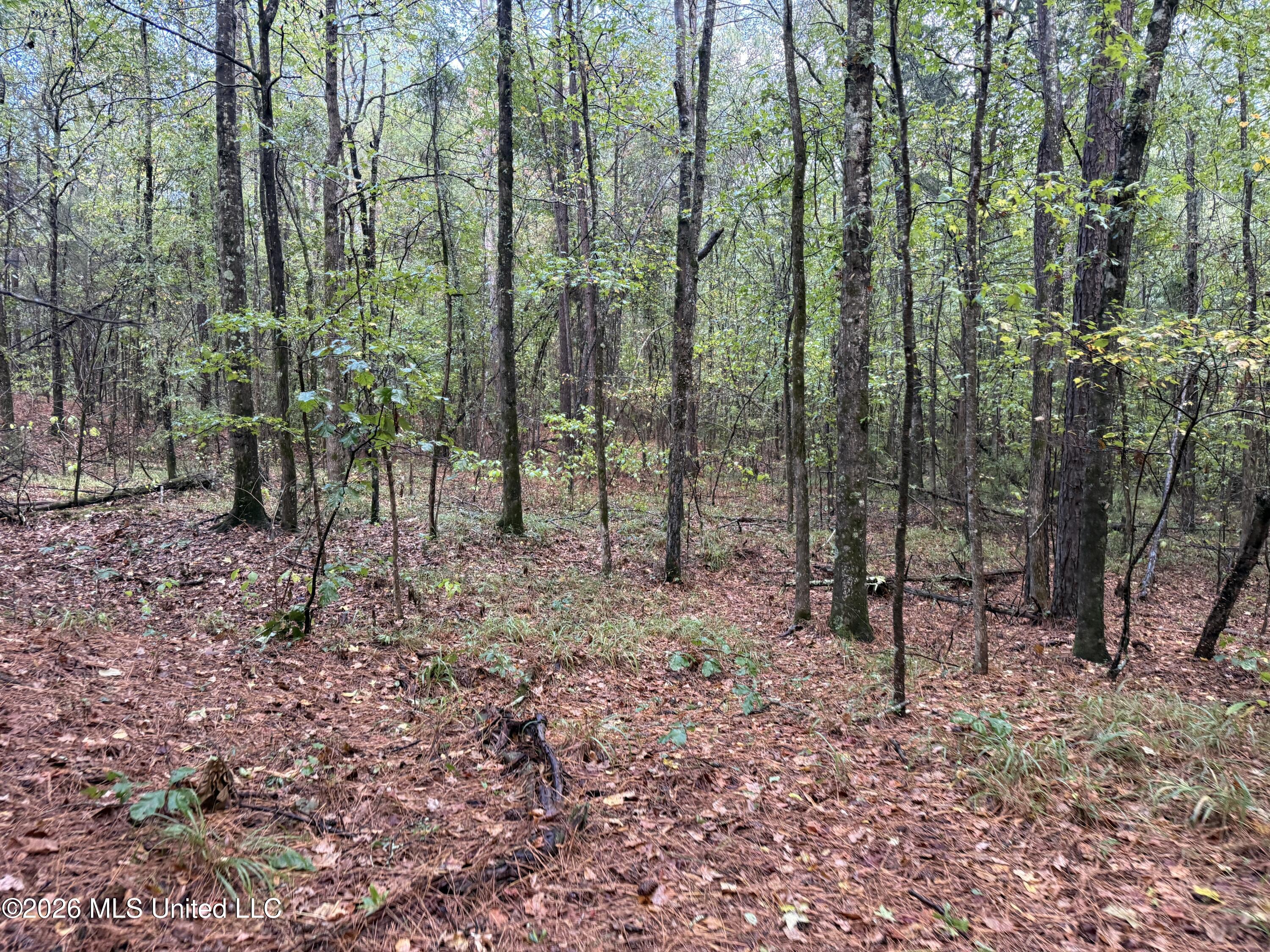 County Road 4167 Property Photo 24