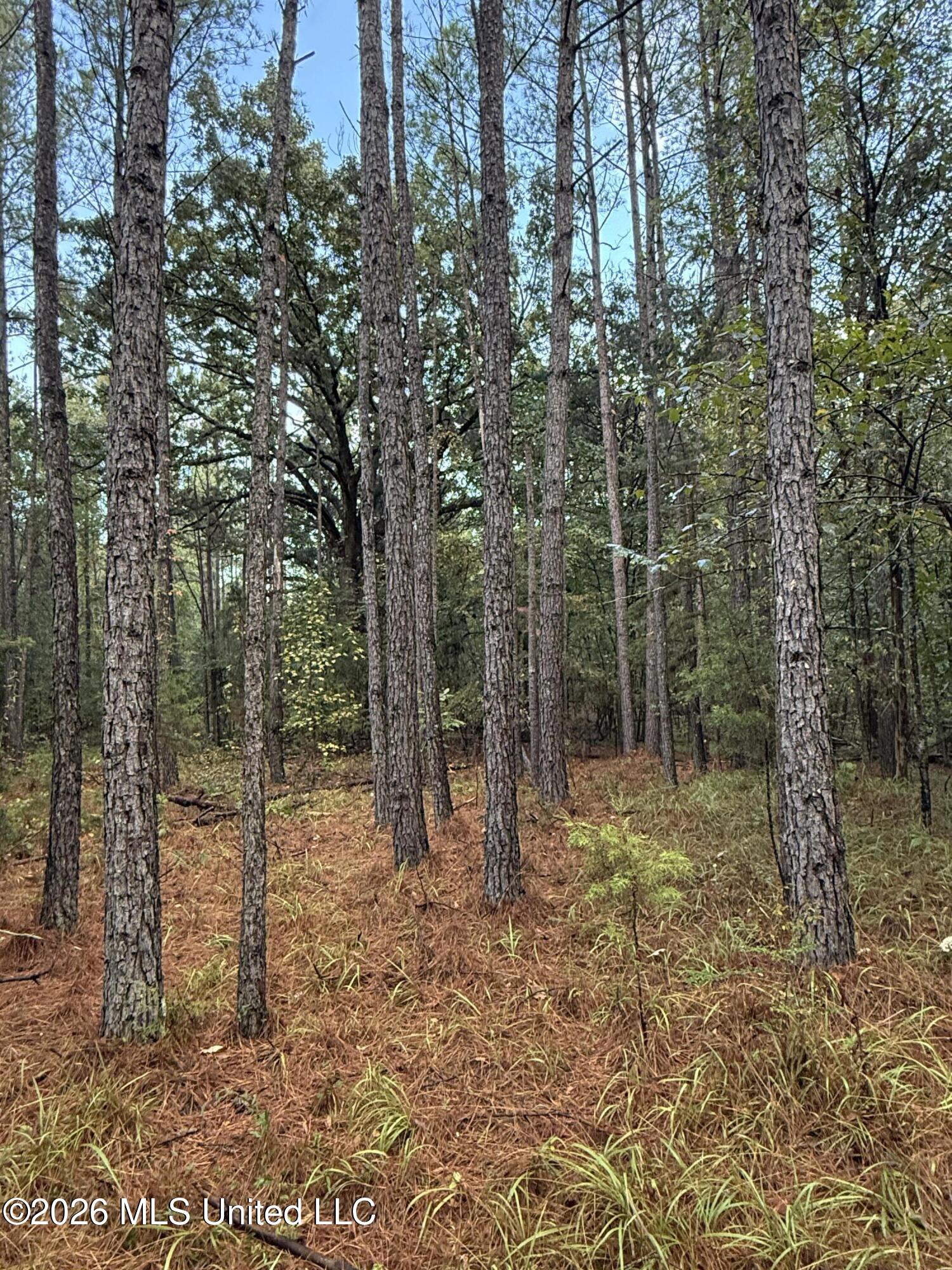 County Road 4167 Property Photo 25