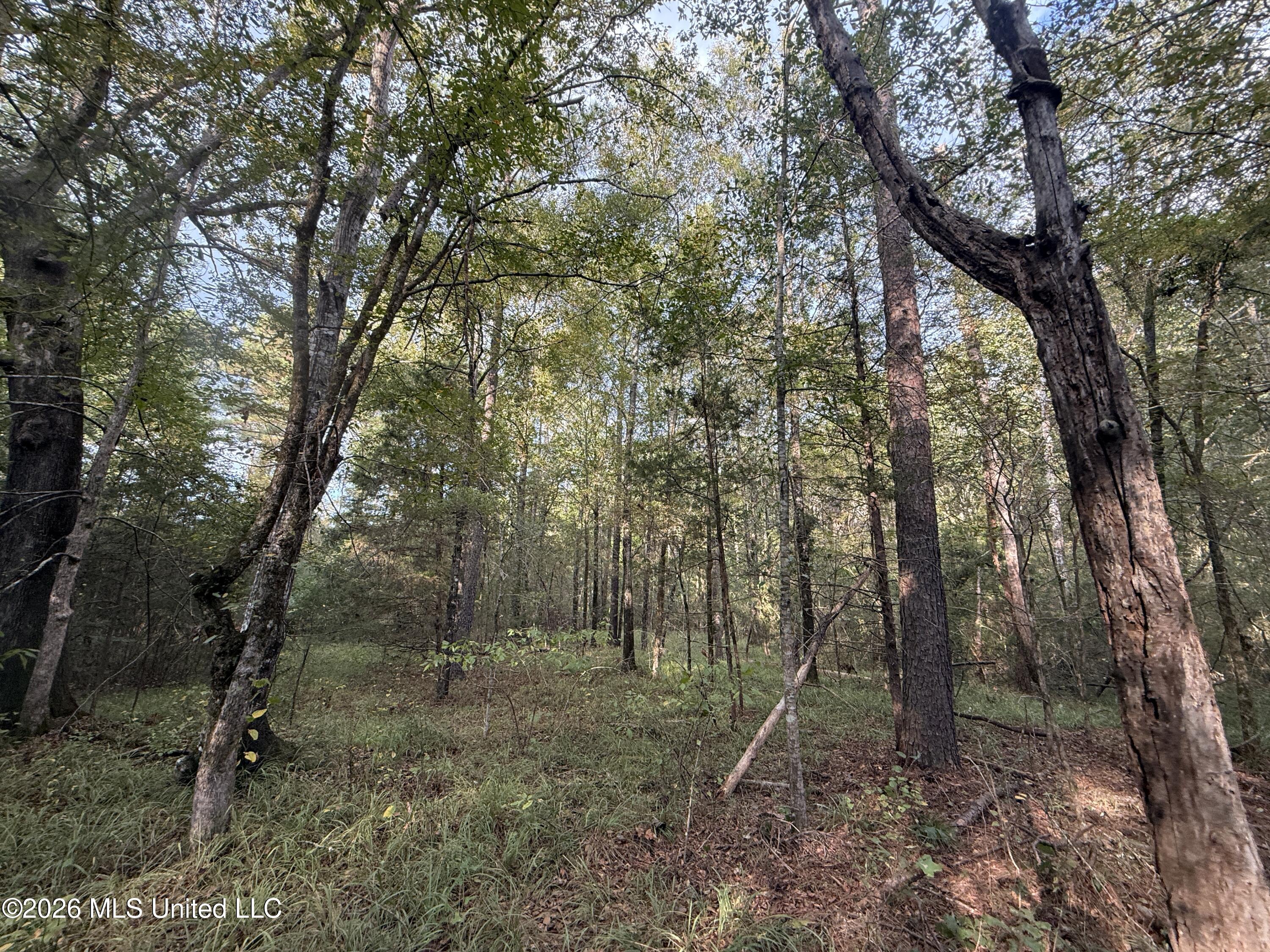 County Road 4167 Property Photo 26