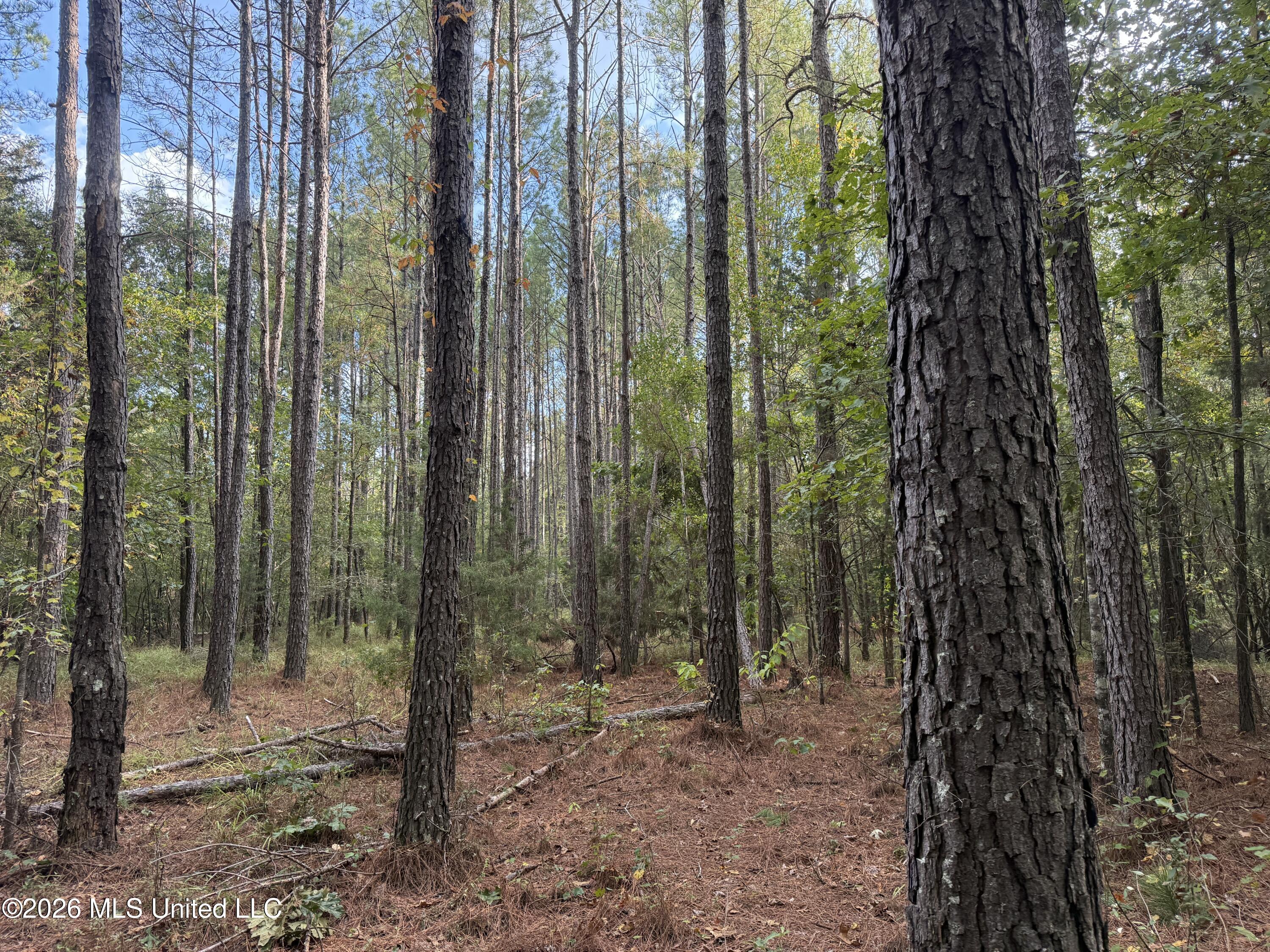 County Road 4167 Property Photo 27