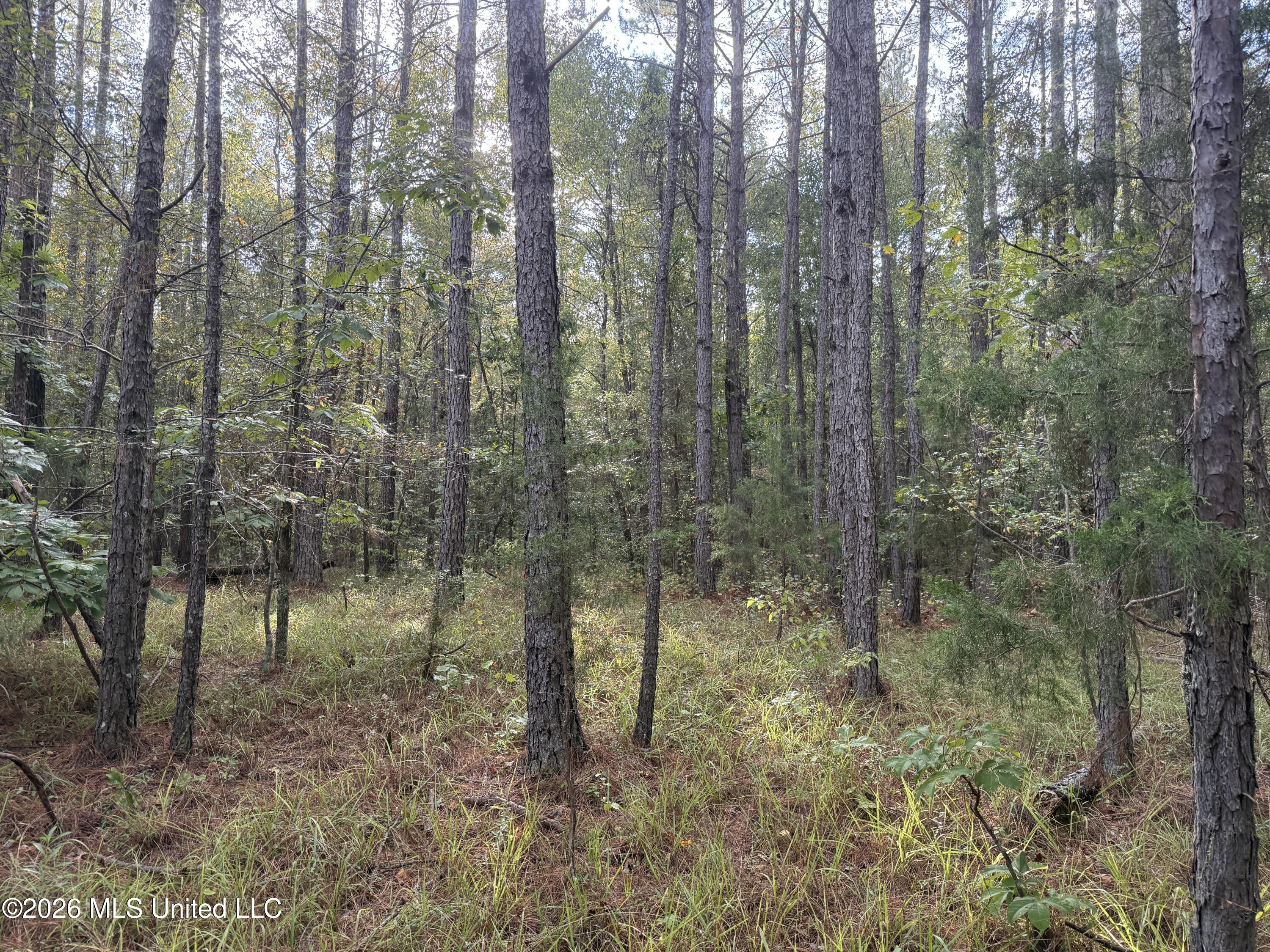 County Road 4167 Property Photo 28