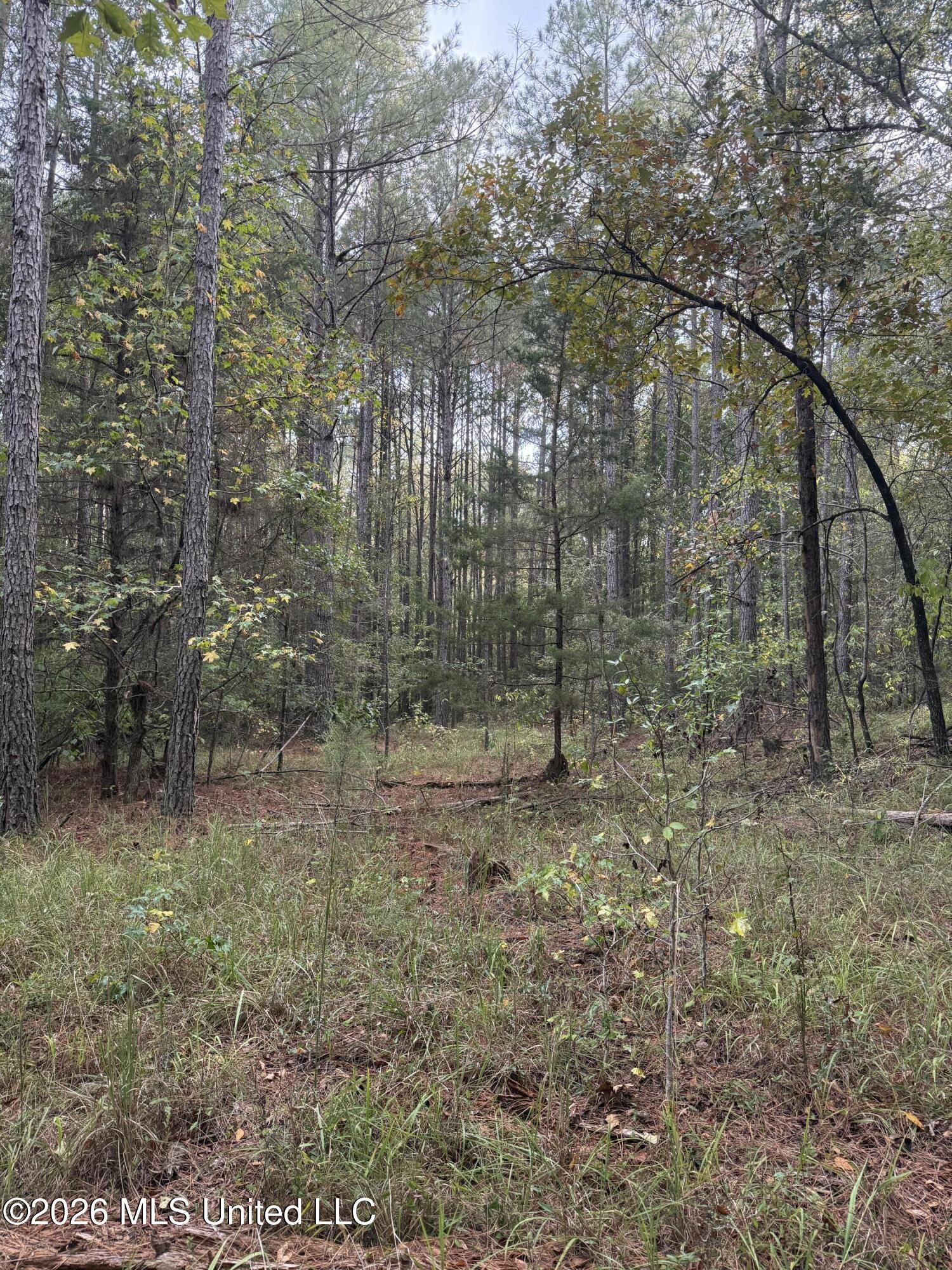County Road 4167 Property Photo 29