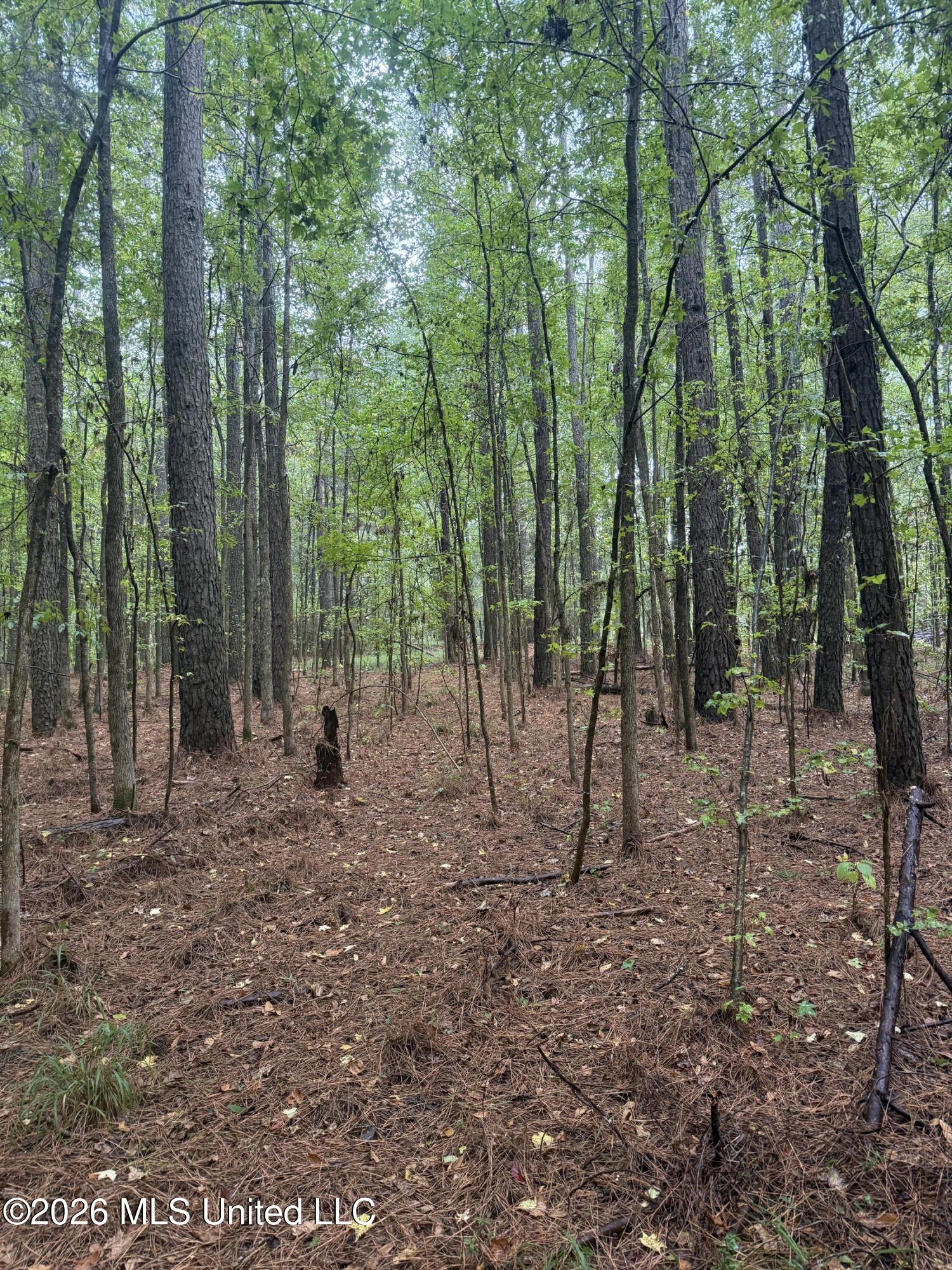 County Road 4167 Property Photo 31