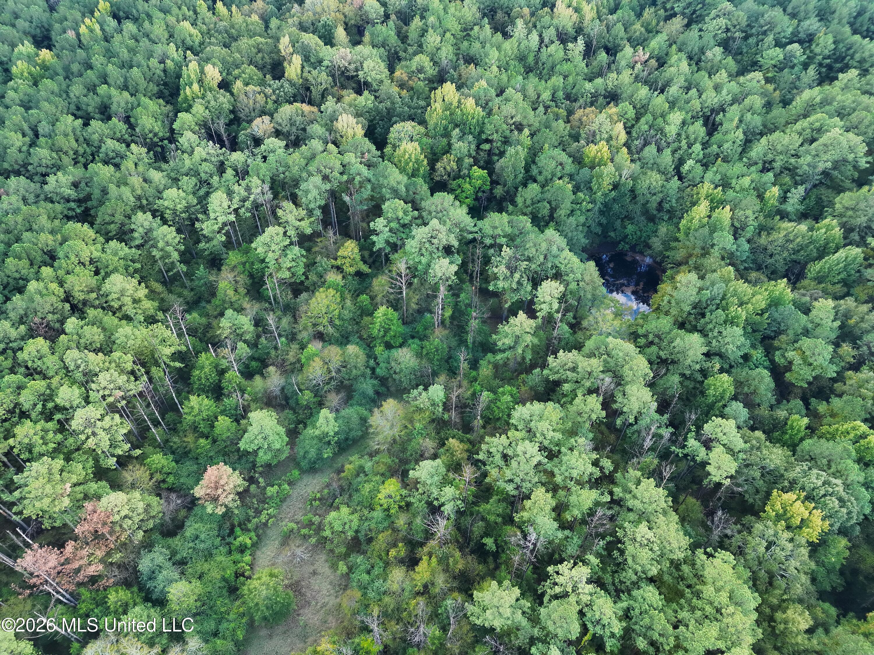 County Road 4167 Property Photo 35