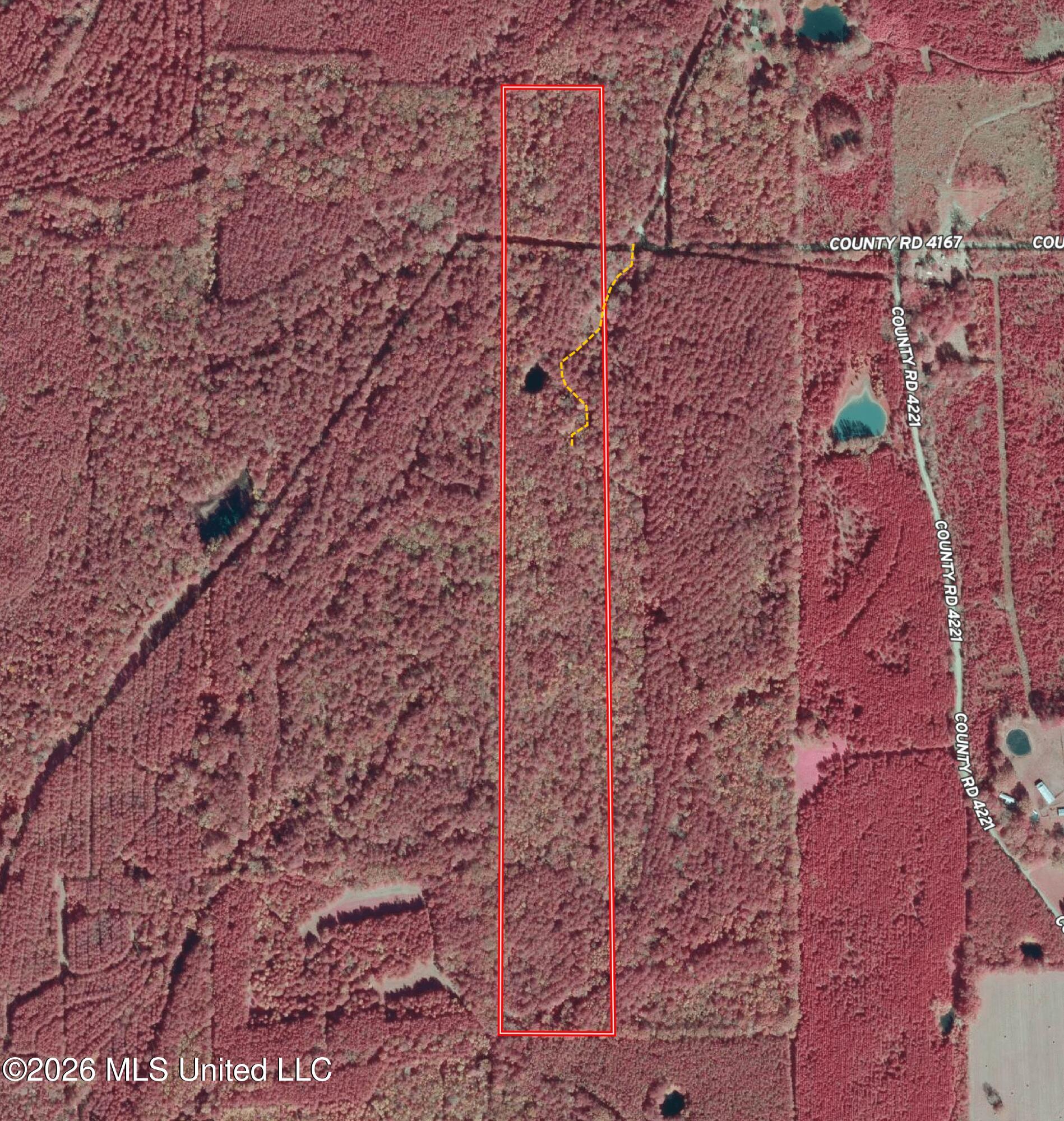 County Road 4167 Property Photo 37