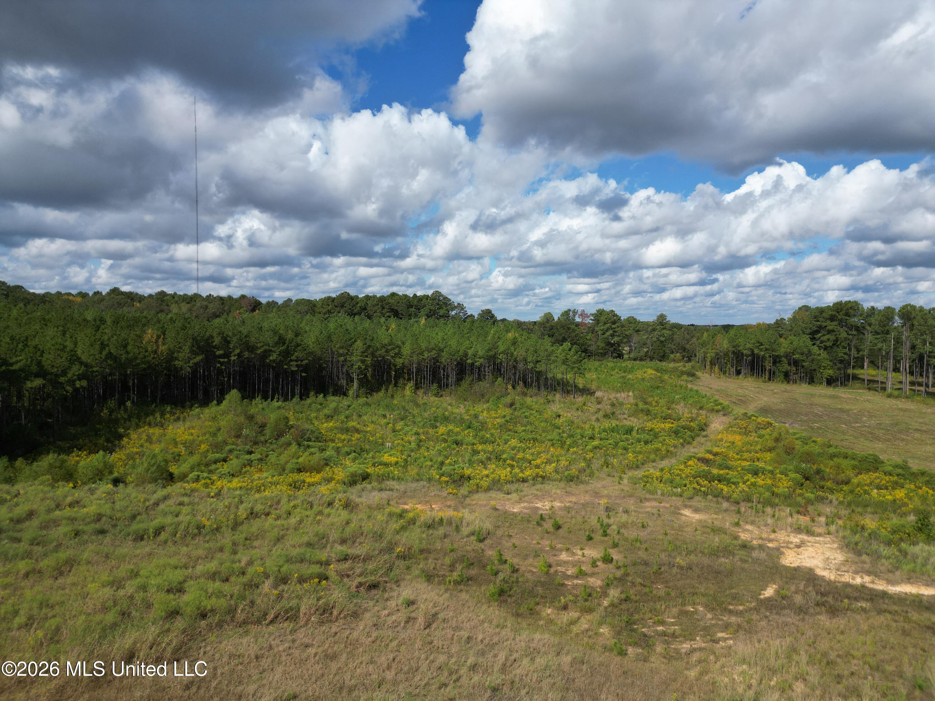 Lot 2 Sulphur Springs Road Property Photo 13