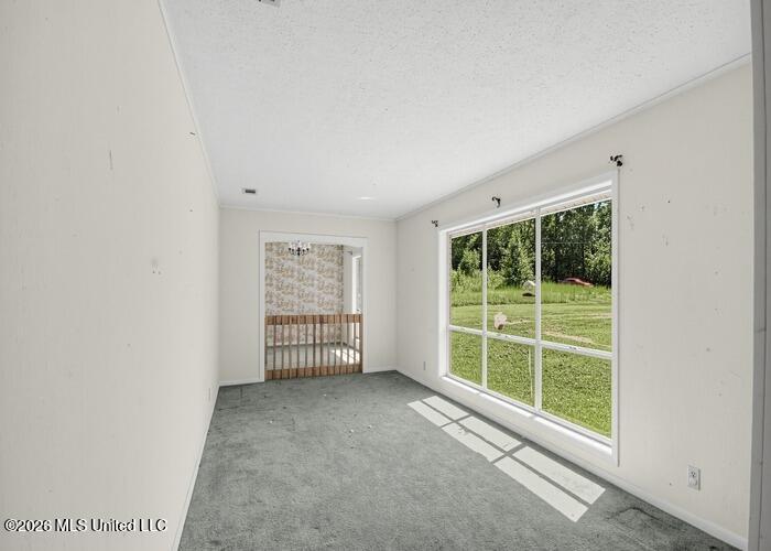 13431 Highway 21 N Property Photo 11