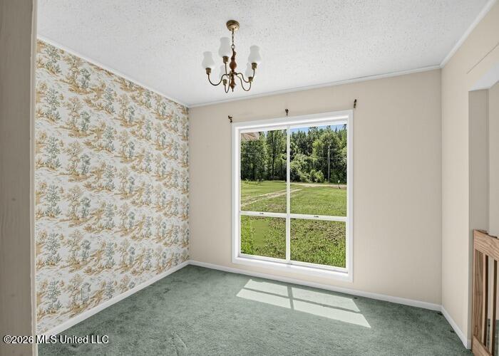 13431 Highway 21 N Property Photo 17