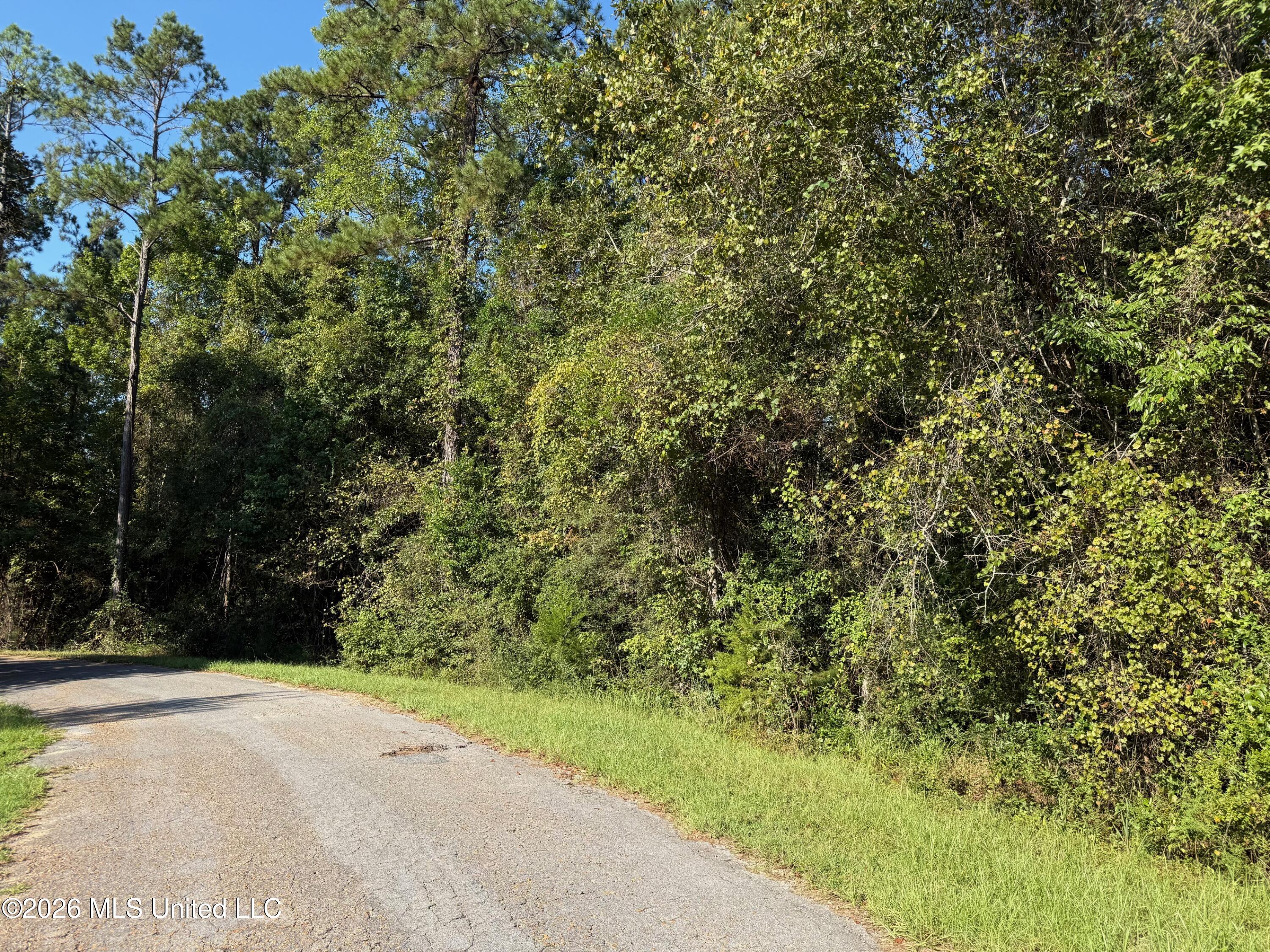 7 +/- Ac Fork Road Property Photo 1