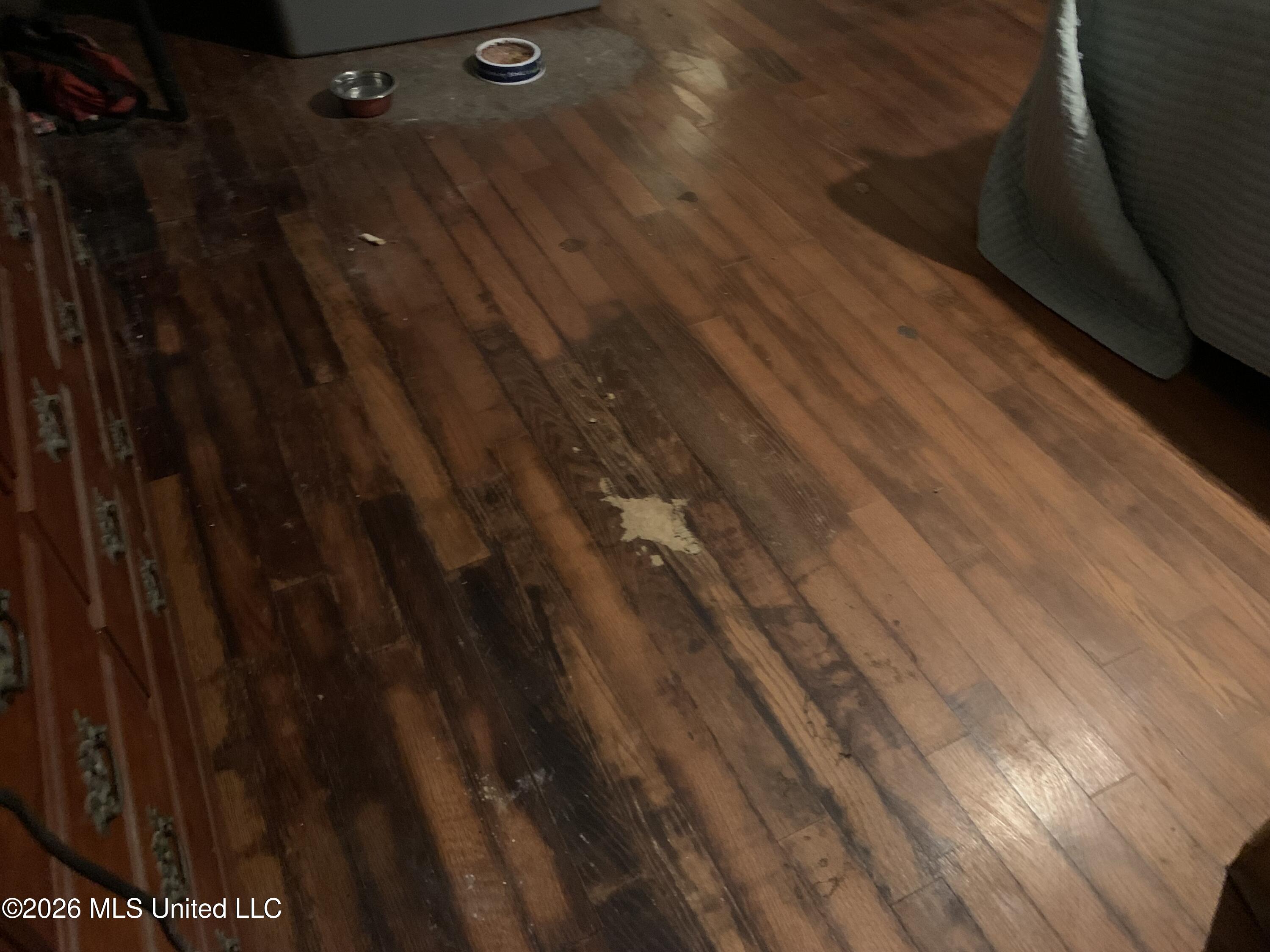 1625 Pringle Circle Property Photo 7