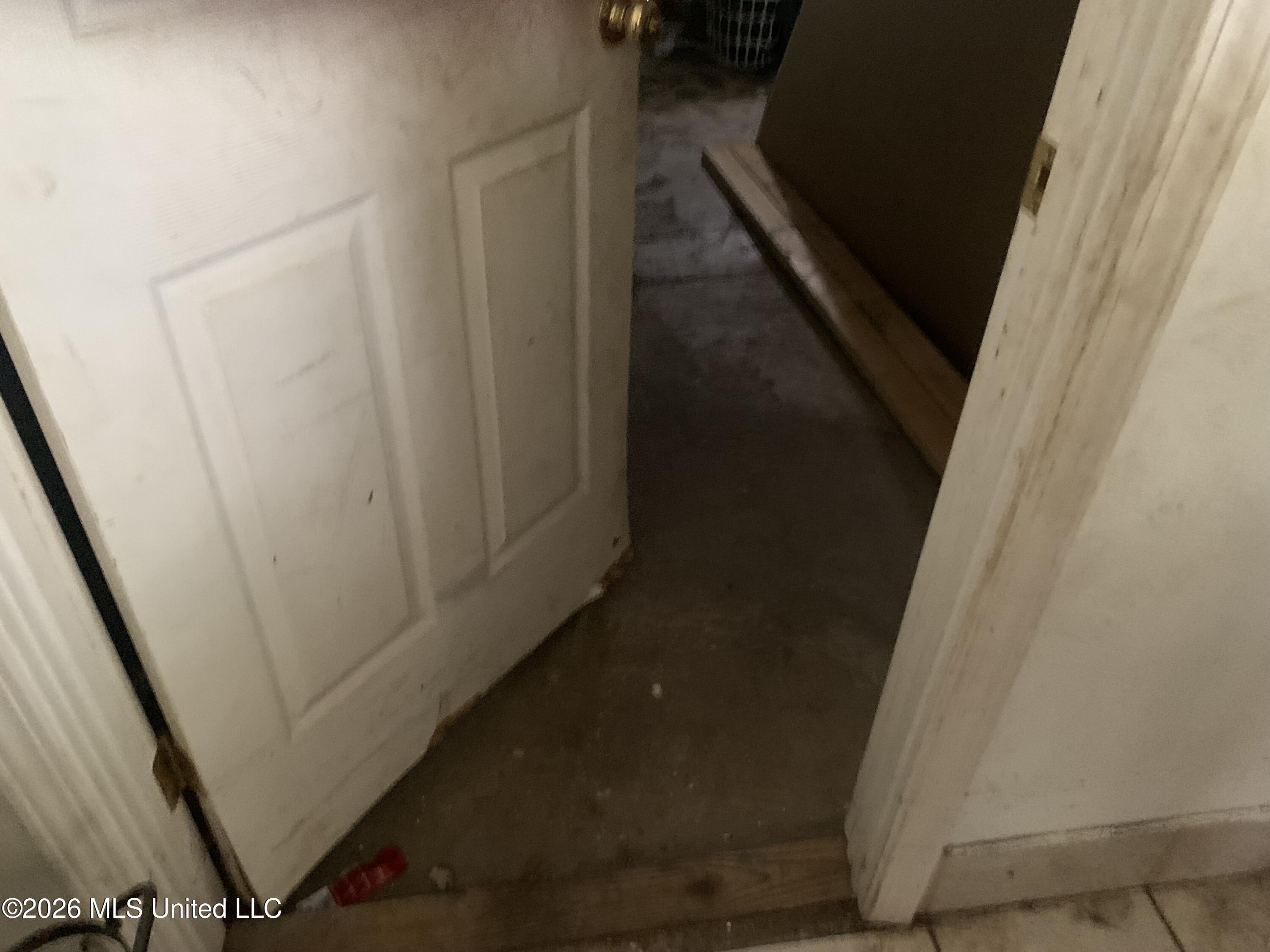 1625 Pringle Circle Property Photo 11