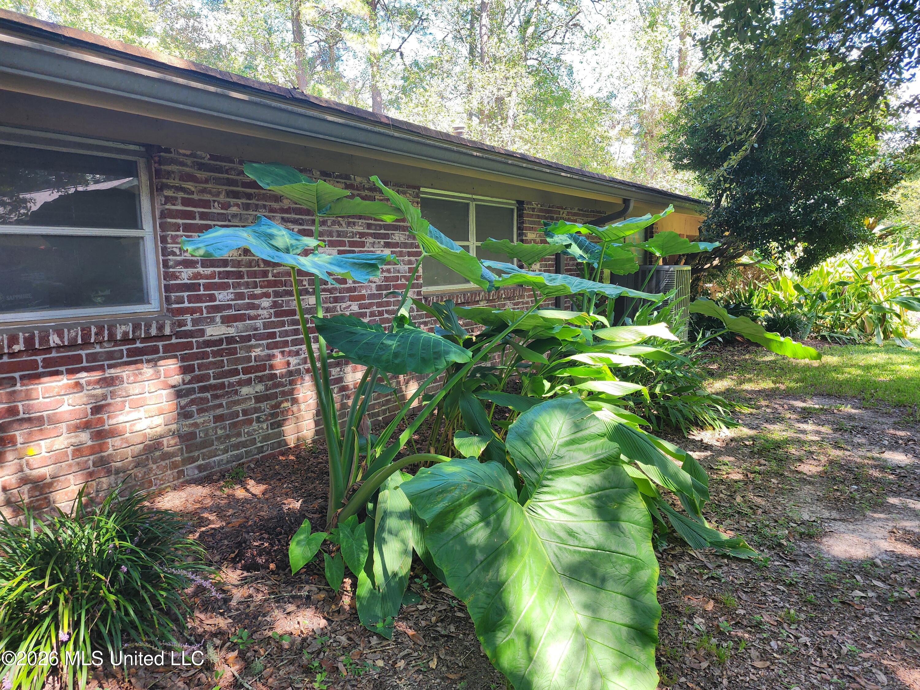 13708 Docena Circle Property Photo 20