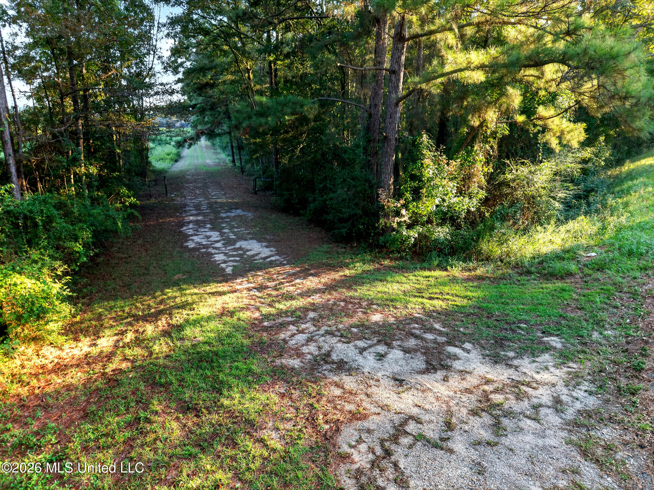 123 Nettles Drive Property Photo 8