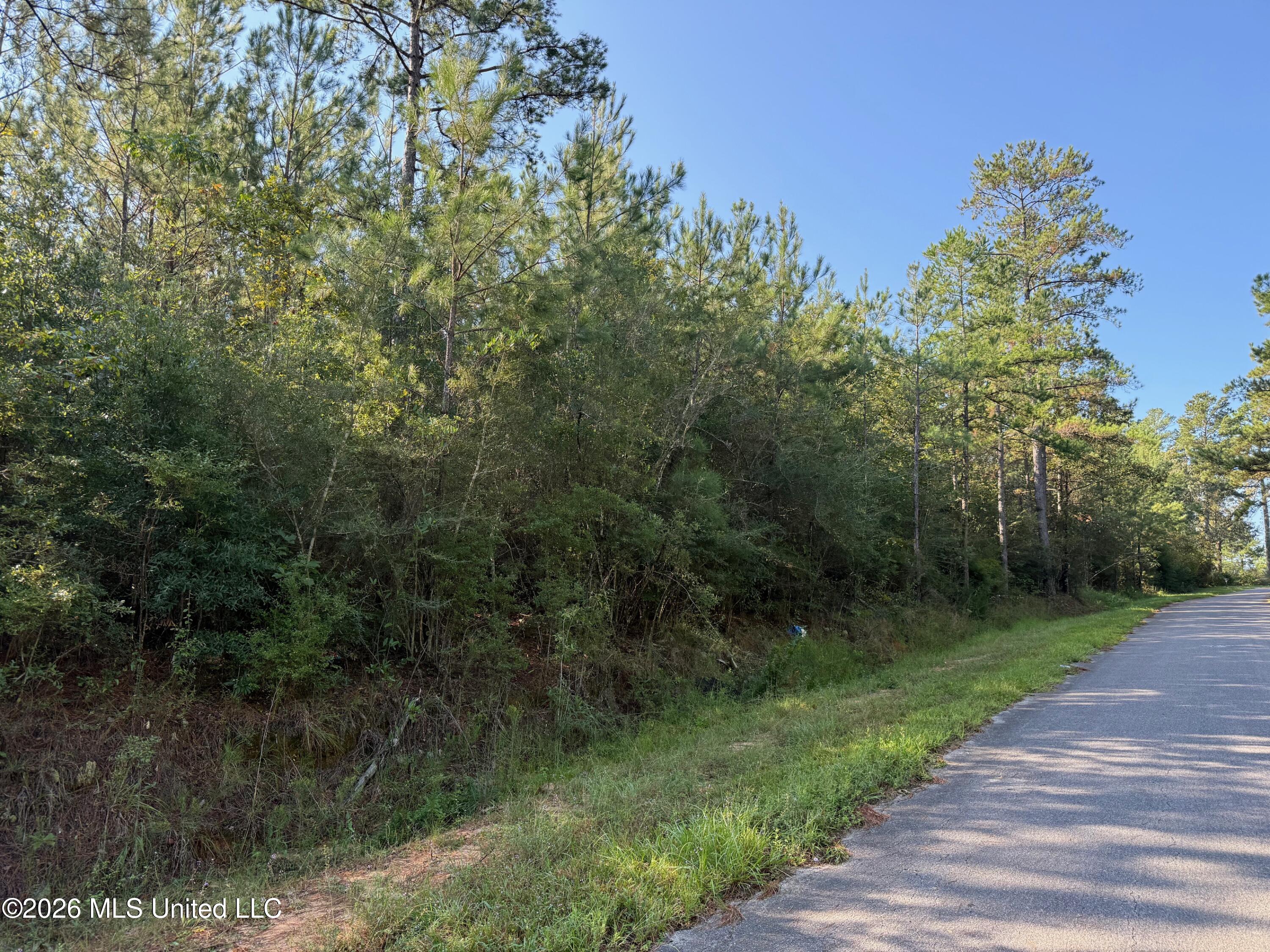 9 +/- Ac Fork Road Property Photo 1