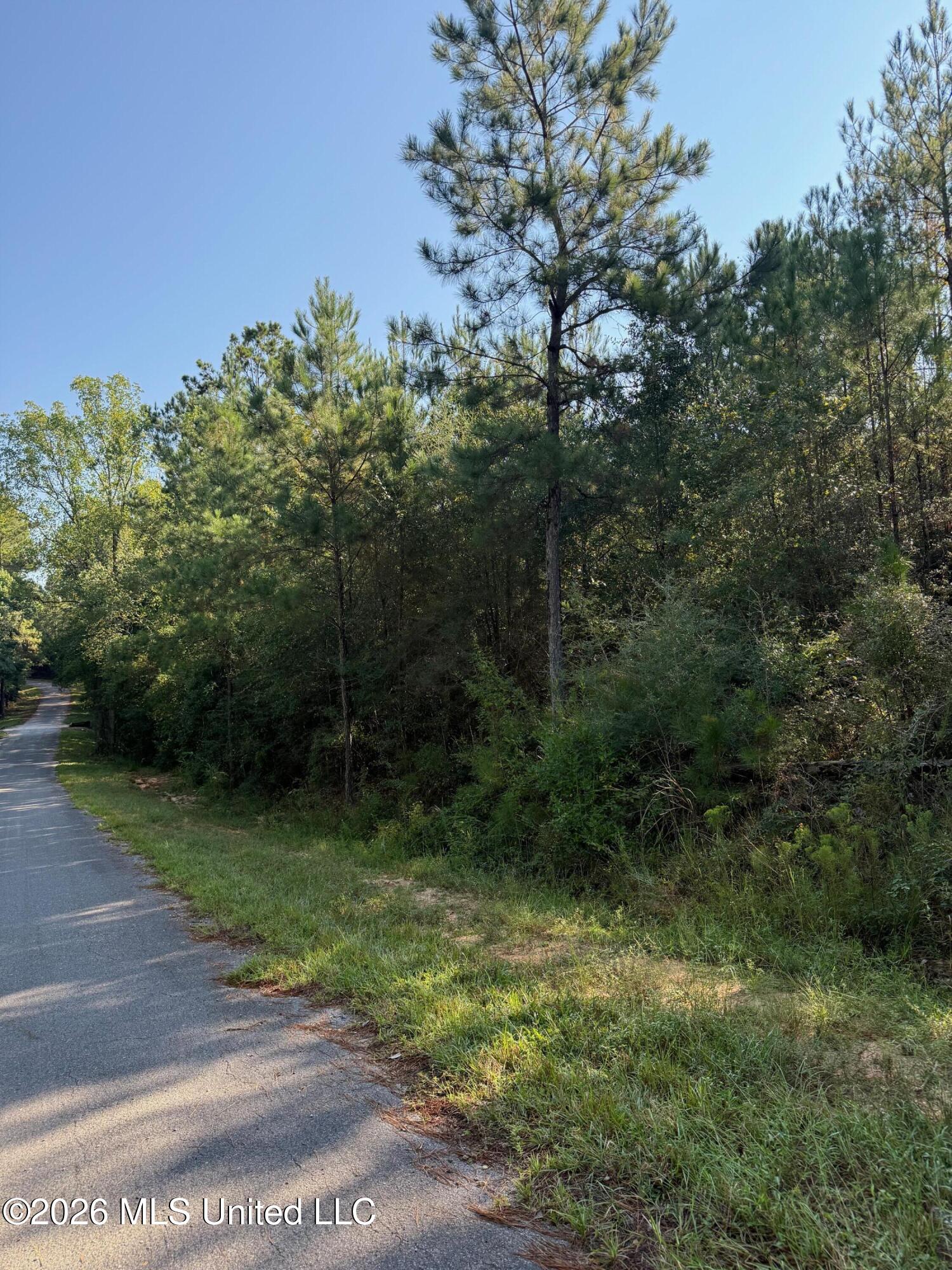9 +/- Ac Fork Road Property Photo 2
