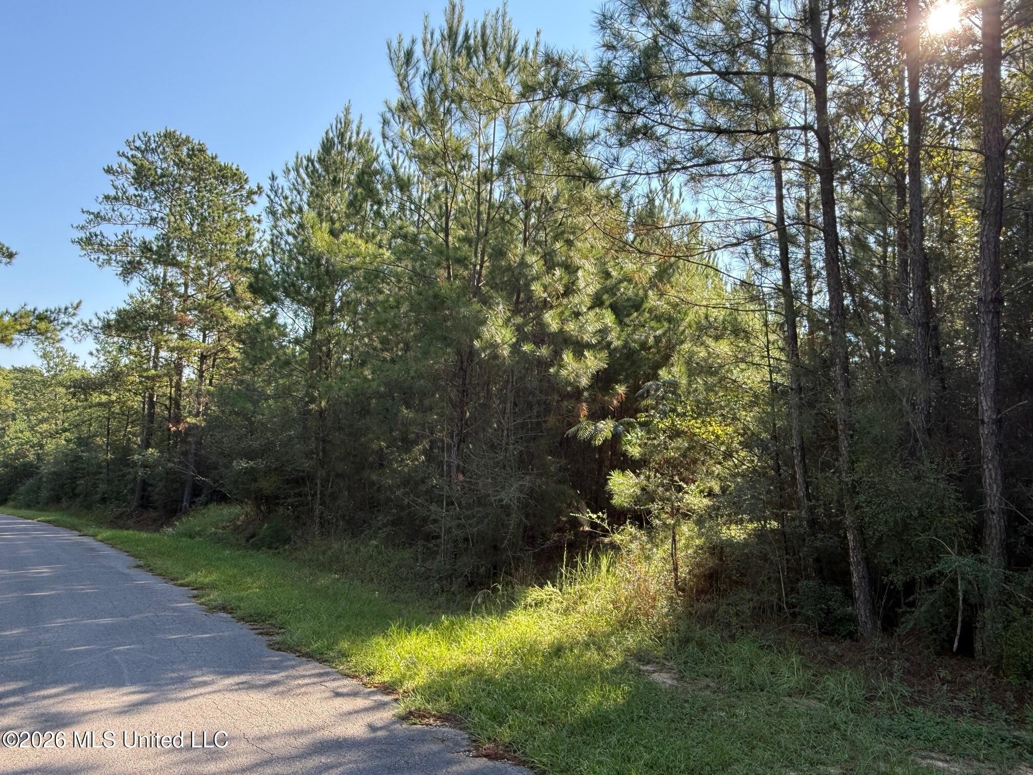 9 +/- Ac Fork Road Property Photo 3