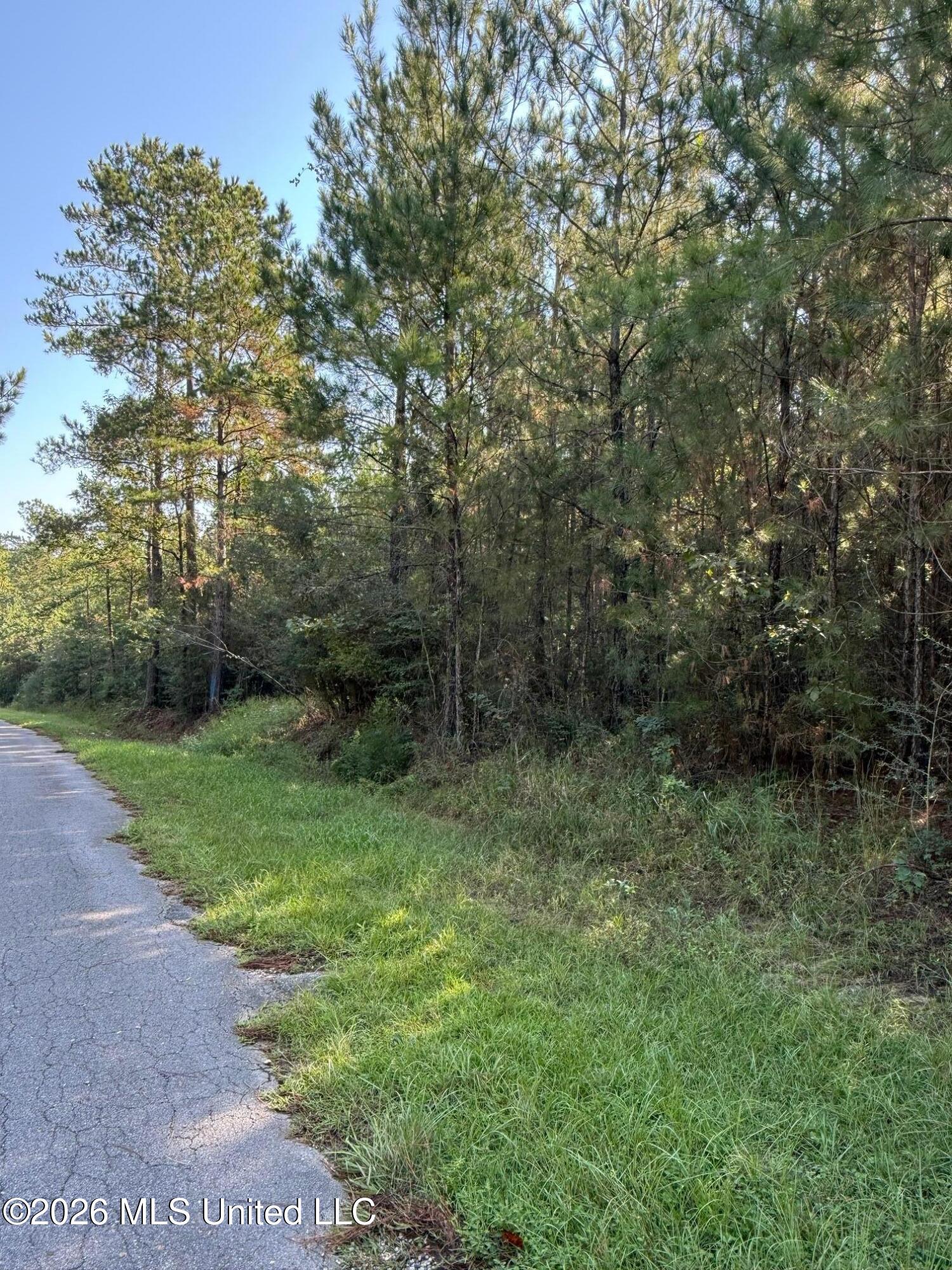 9 +/- Ac Fork Road Property Photo 4