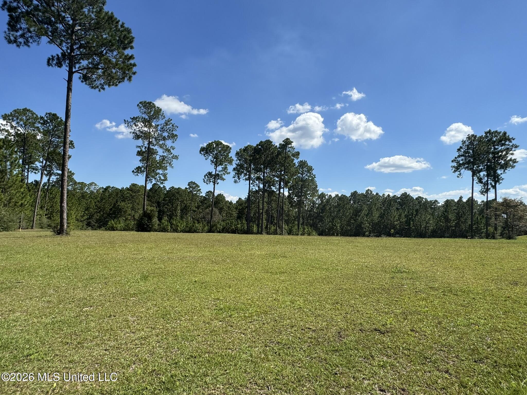 Towering Pines Property Photo 1