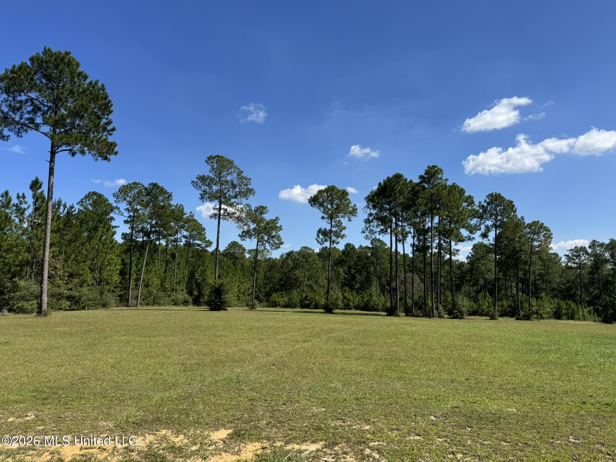 Towering Pines Property Photo 2