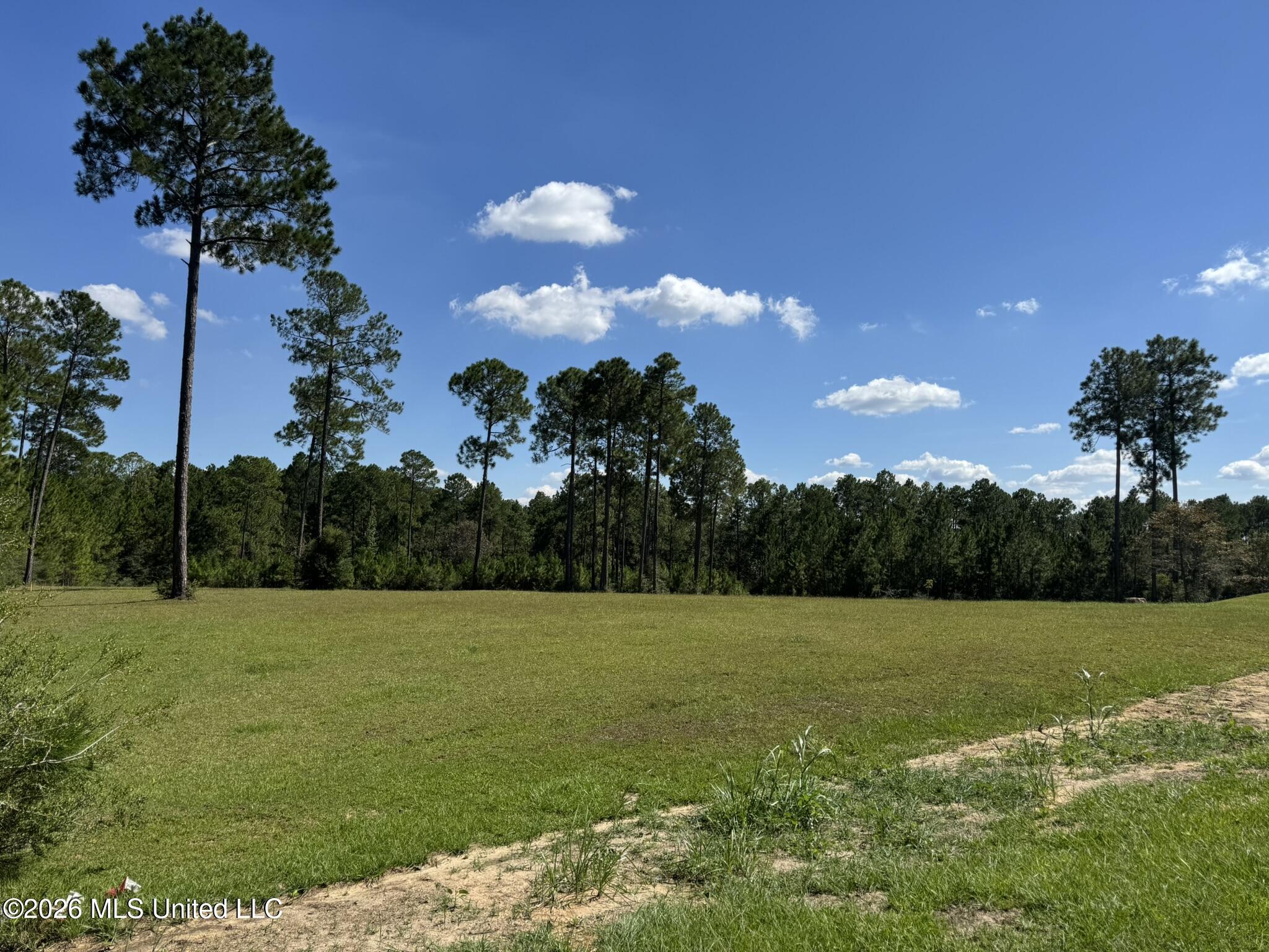 Towering Pines Property Photo 3