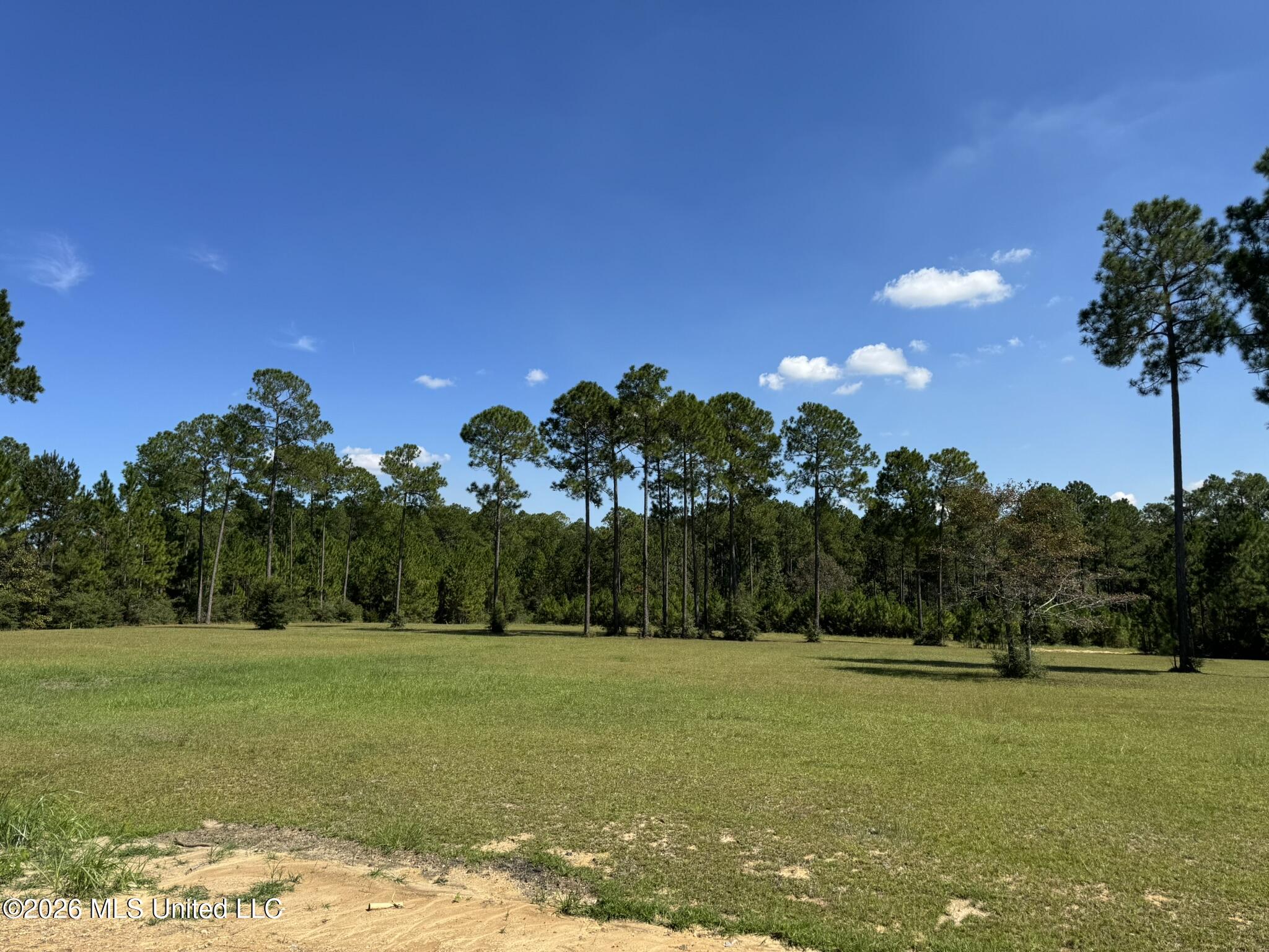 Towering Pines Property Photo 4