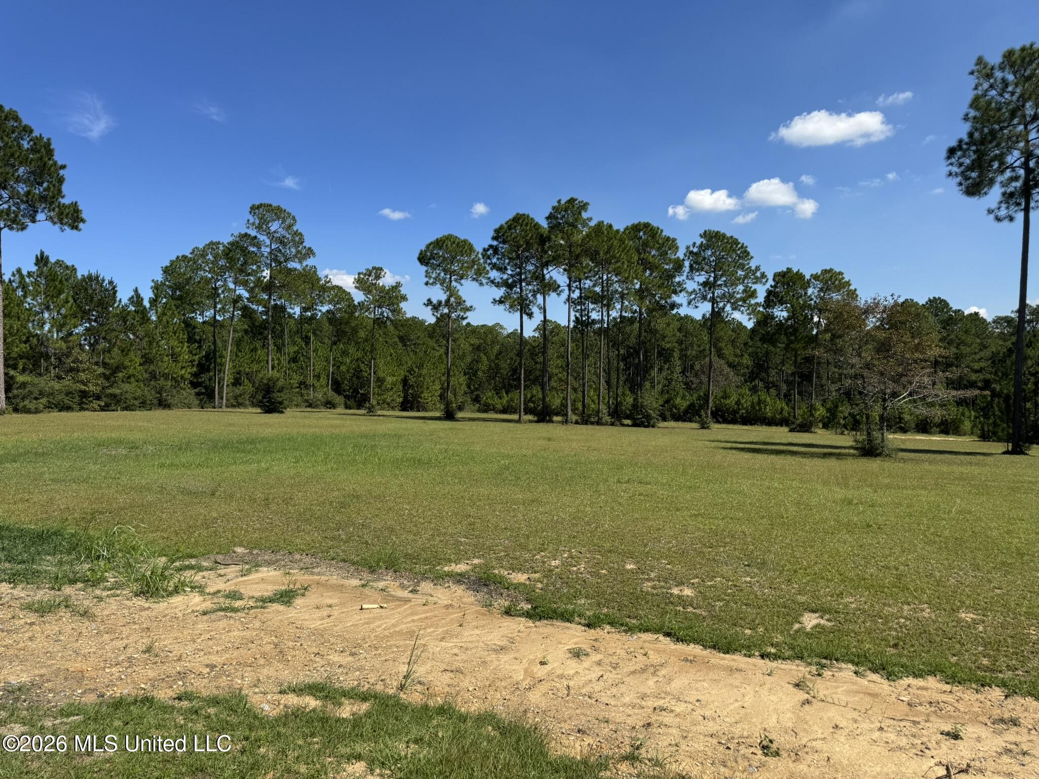 Towering Pines Property Photo 5