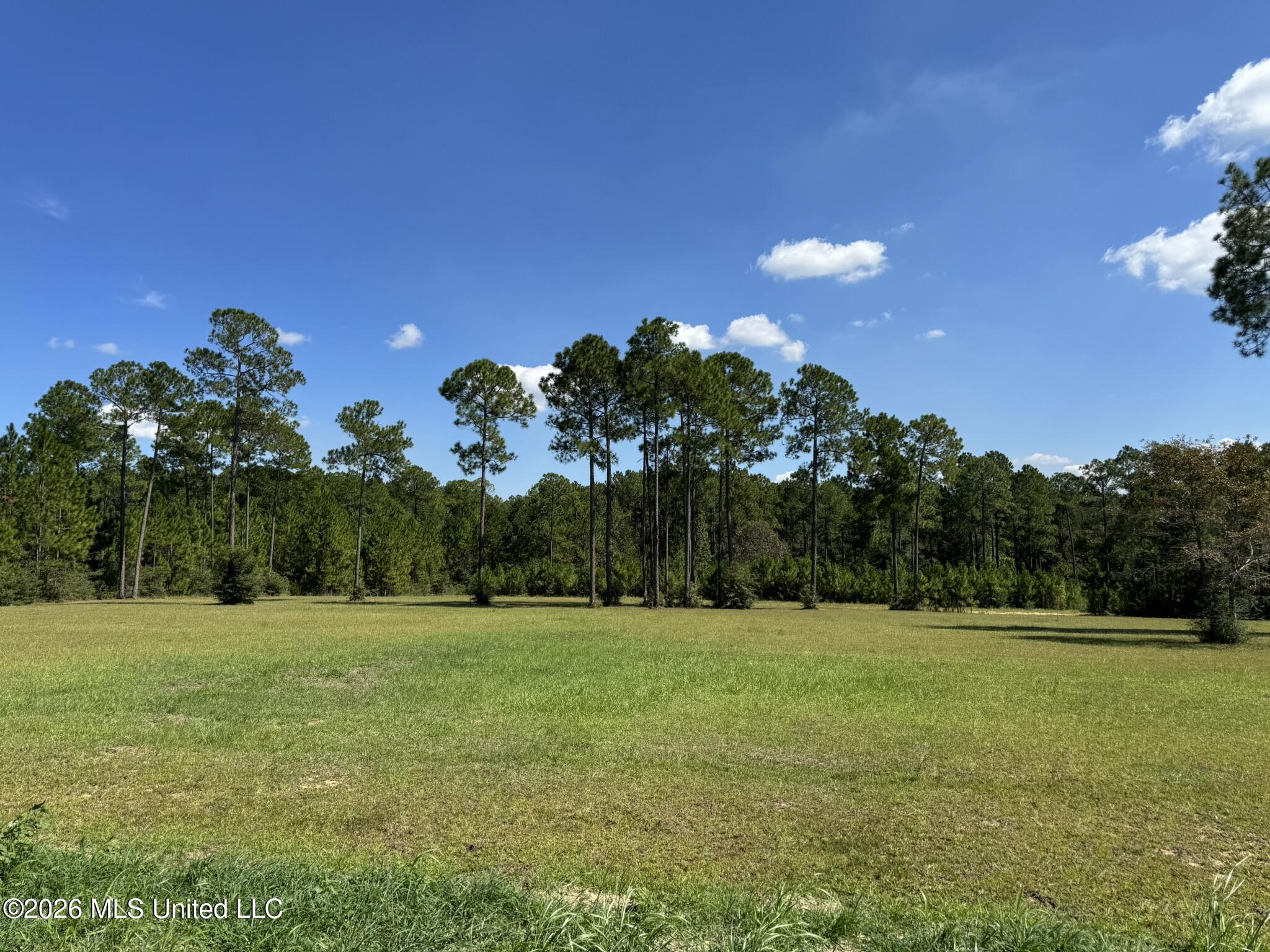 Towering Pines Property Photo 6
