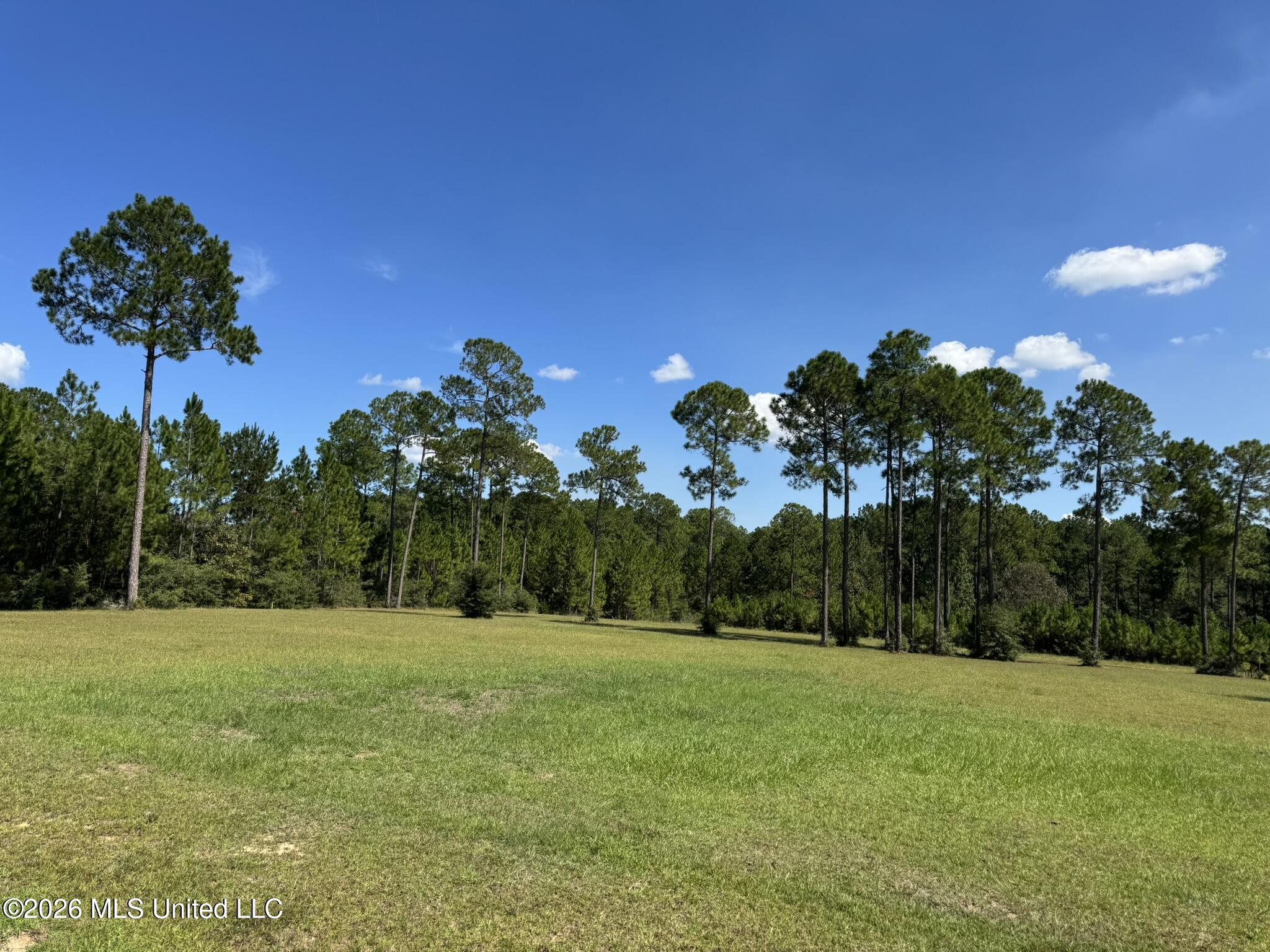 Towering Pines Property Photo 7