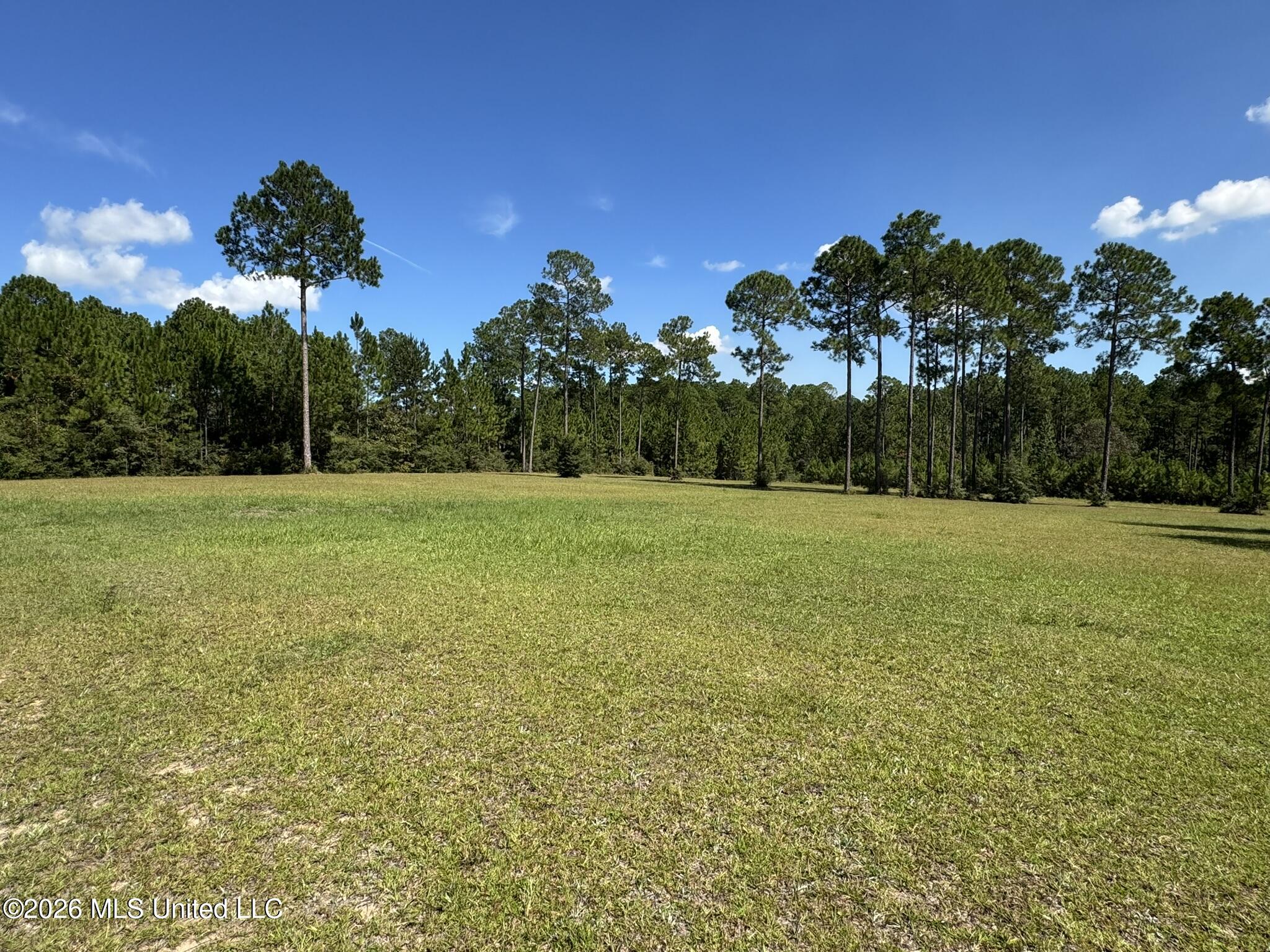 Towering Pines Property Photo 8