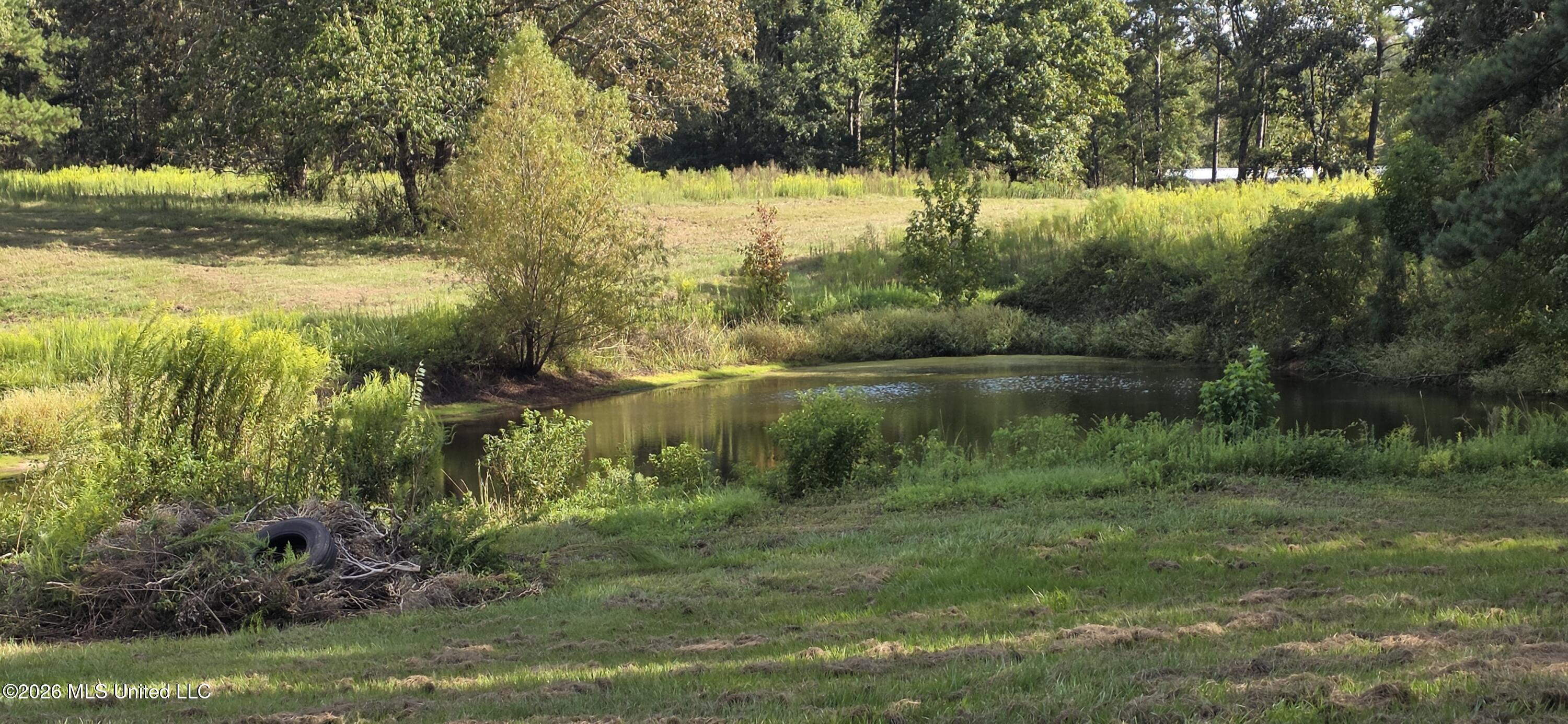 5174 Highway 98 Property Photo 5