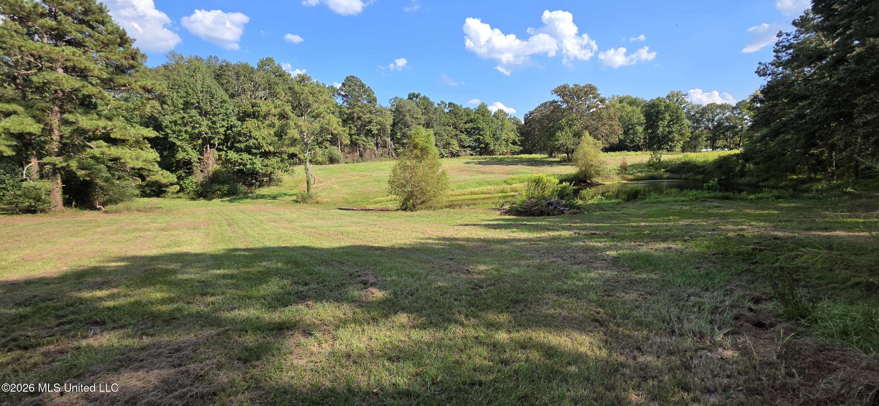 5174 Highway 98 Property Photo 6