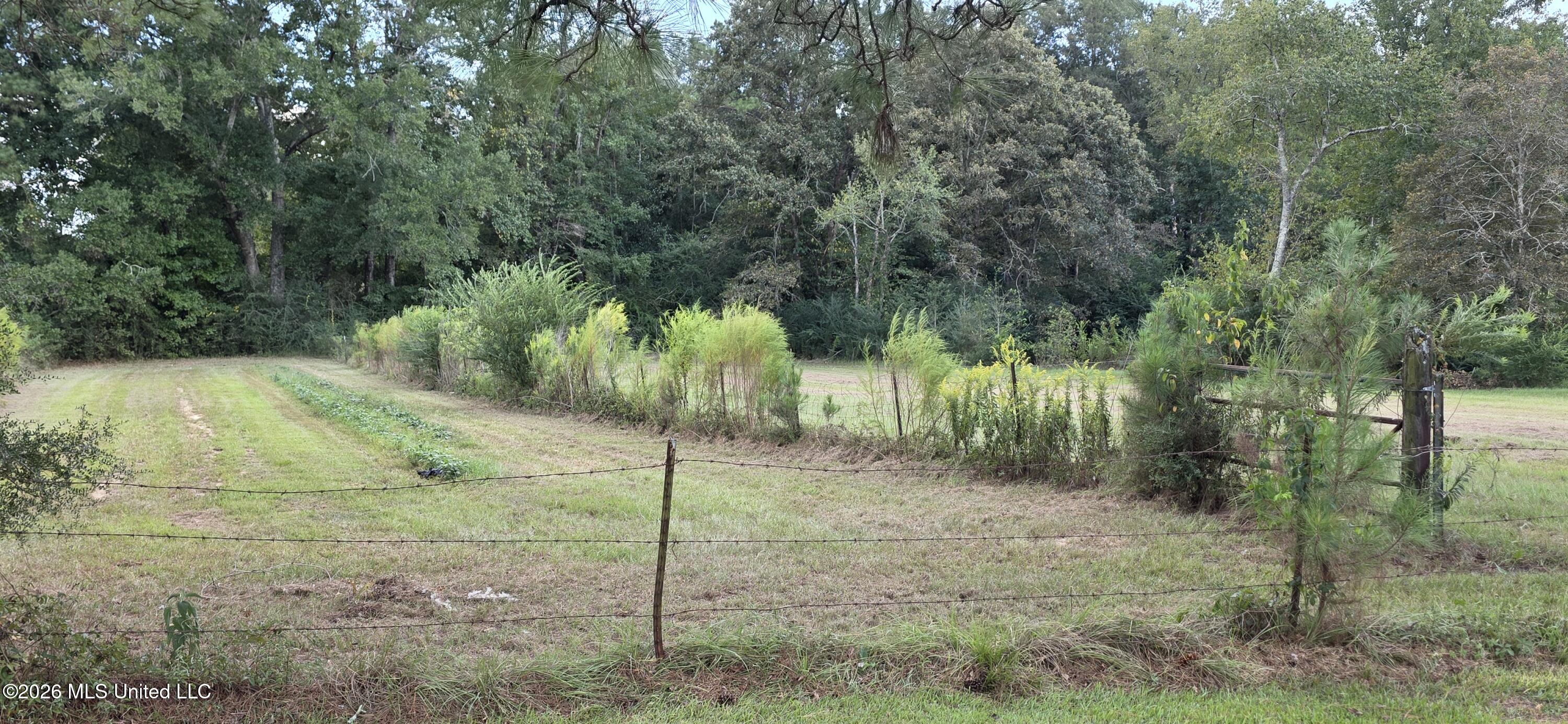 5174 Highway 98 Property Photo 14