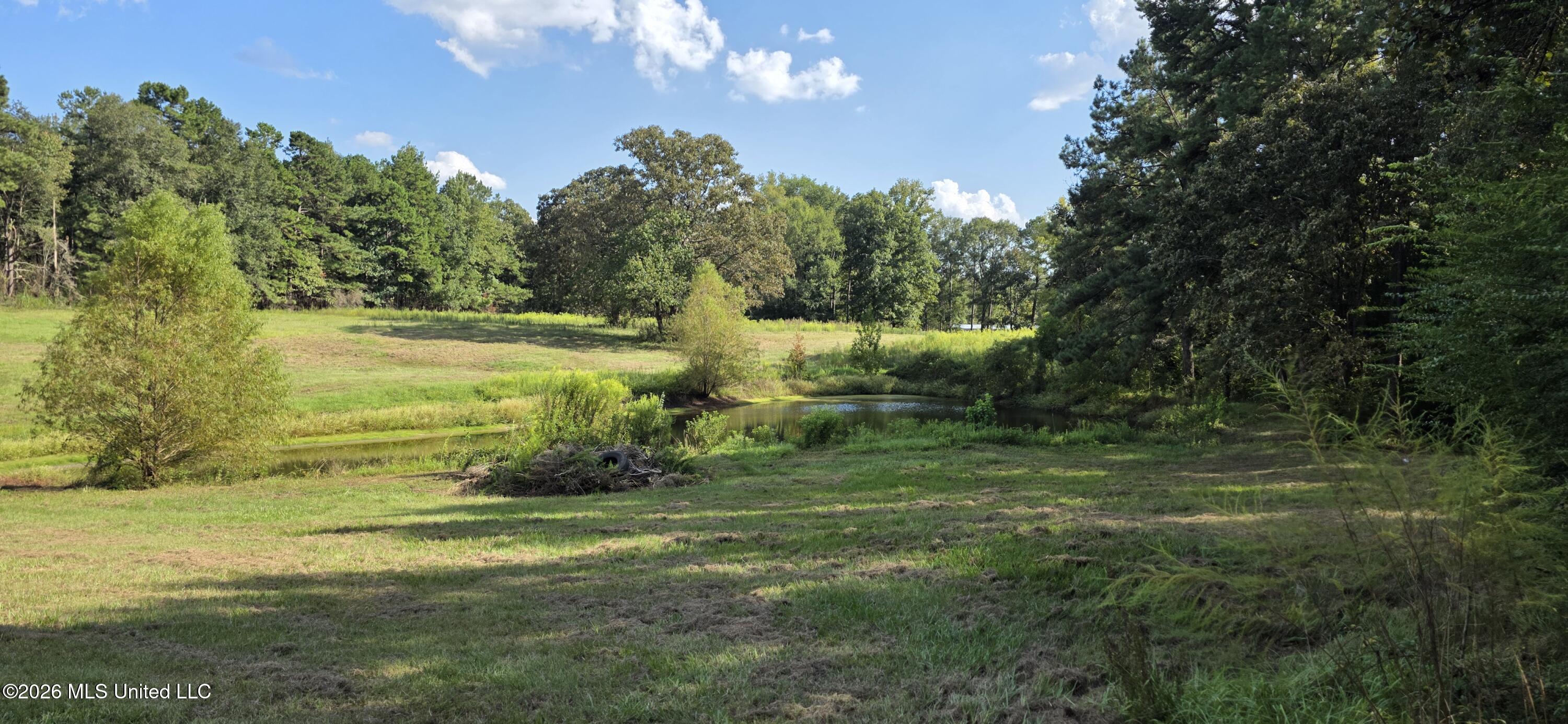 5174 Highway 98 Property Photo 18