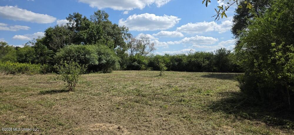 1161 Charlie Rhodus Road Property Photo 3