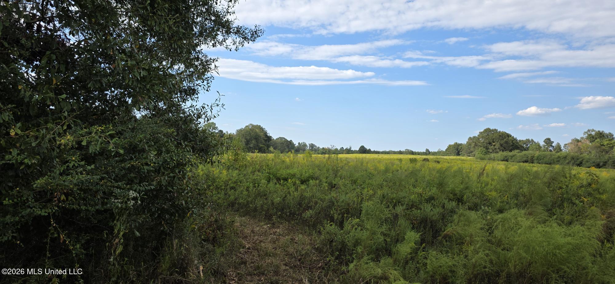 1161 Charlie Rhodus Road Property Photo 16