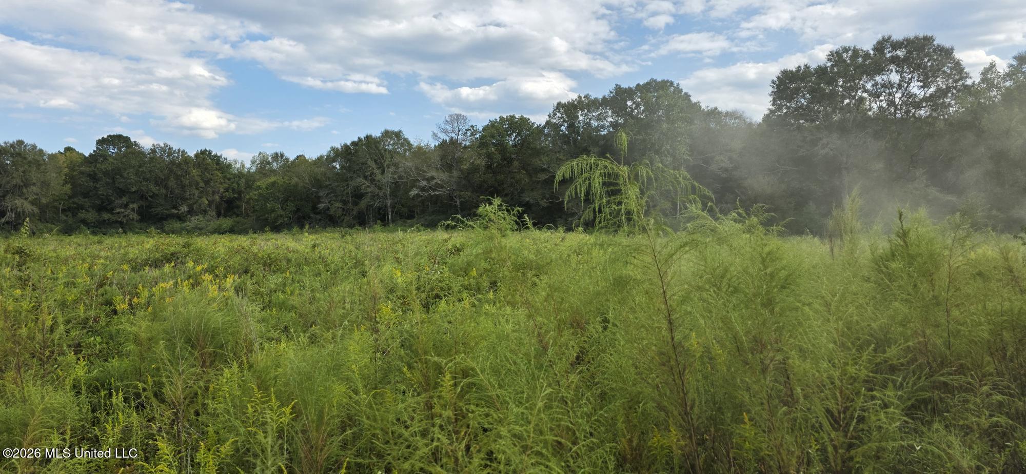 1161 Charlie Rhodus Road Property Photo 17