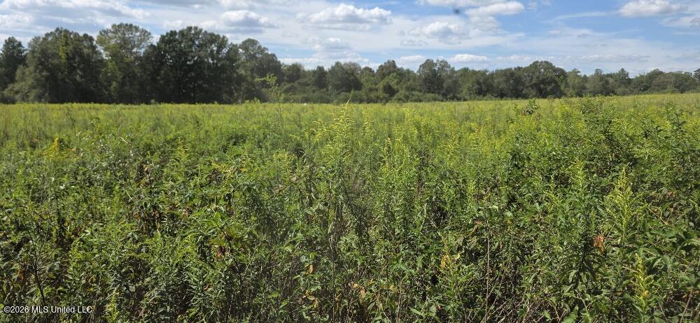 1161 Charlie Rhodus Road Property Photo 23