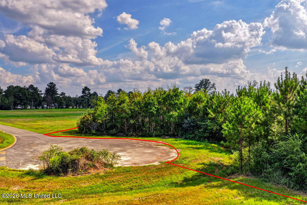 Lot 50 Plantation Circle Drive Property Photo 4