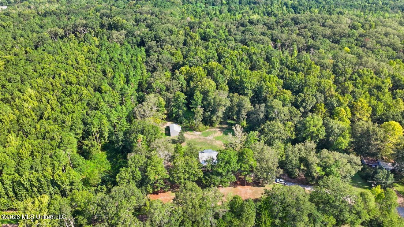 1520 Pardue Property Photo 36
