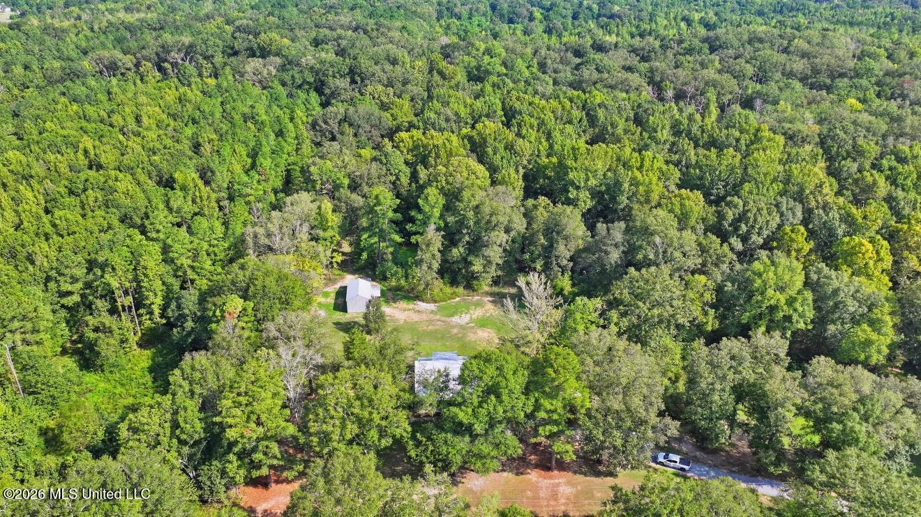 1520 Pardue Property Photo 37