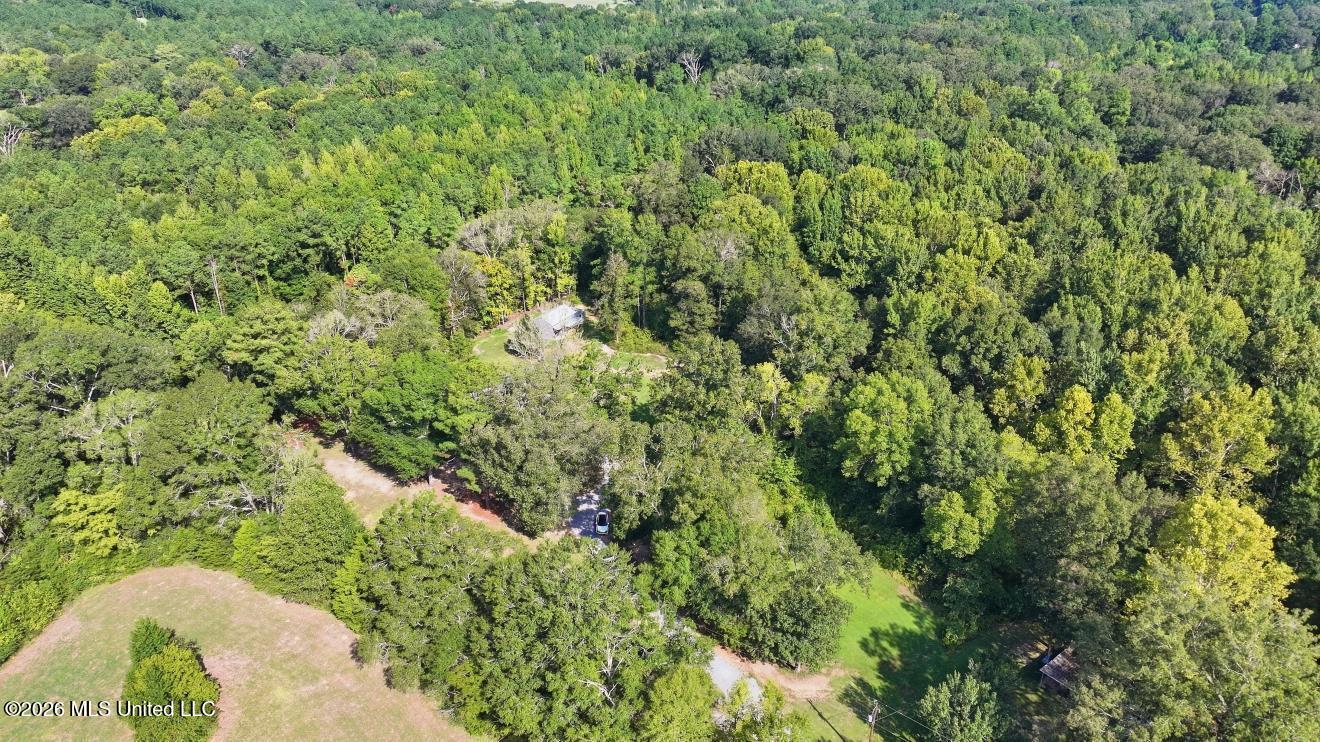 1520 Pardue Property Photo 38