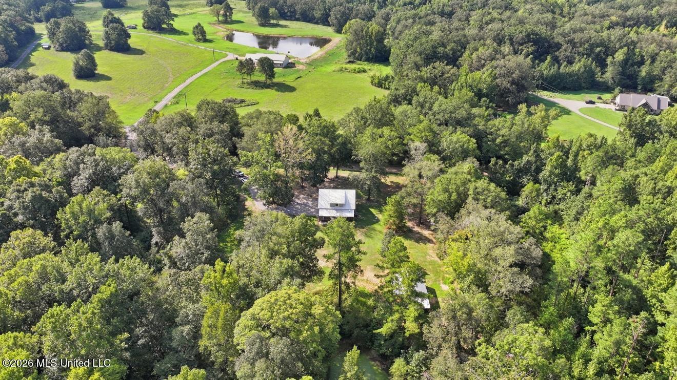 1520 Pardue Property Photo 44