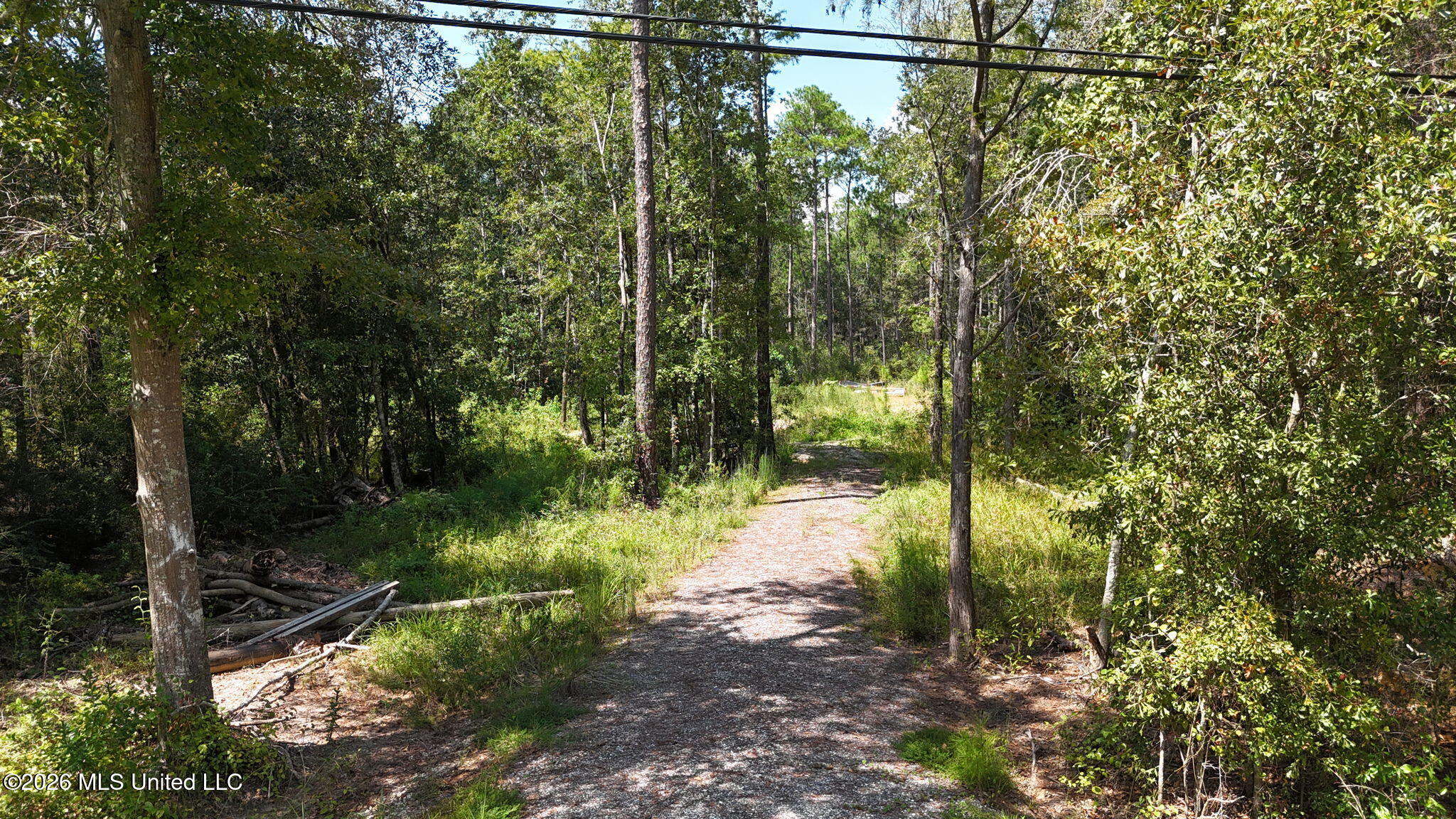 0 Sycamore Property Photo 5