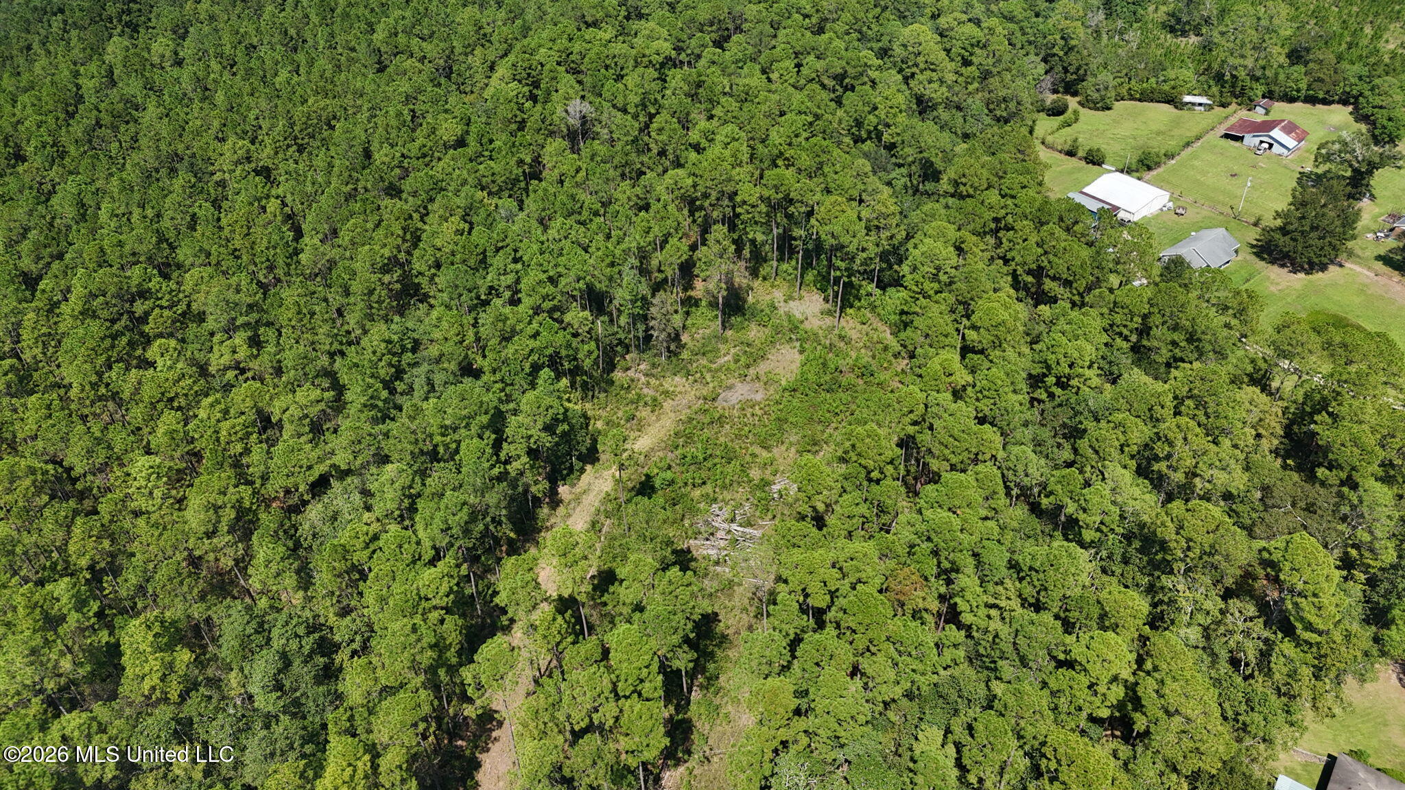 0 Sycamore Property Photo 9